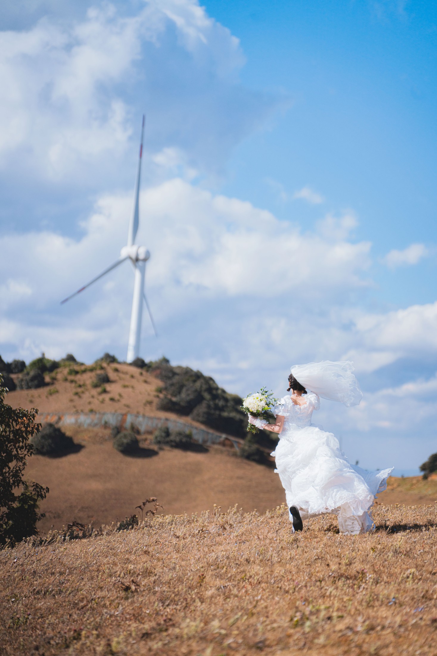 木棉棉VwV – 《风车下的约定》[32P]