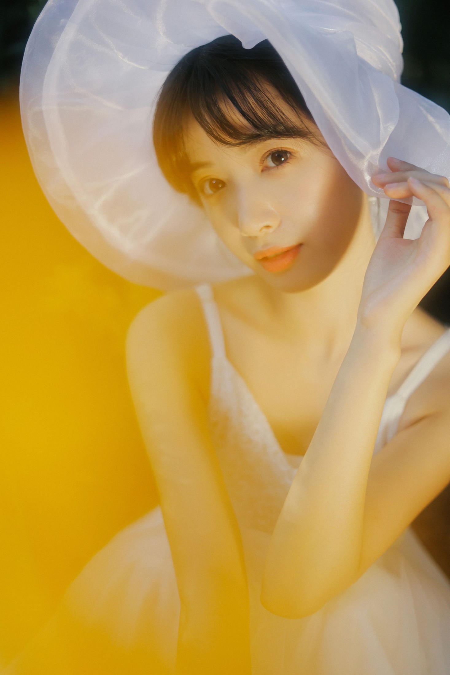 一只阿梦崽 – 《光芒》[41P]