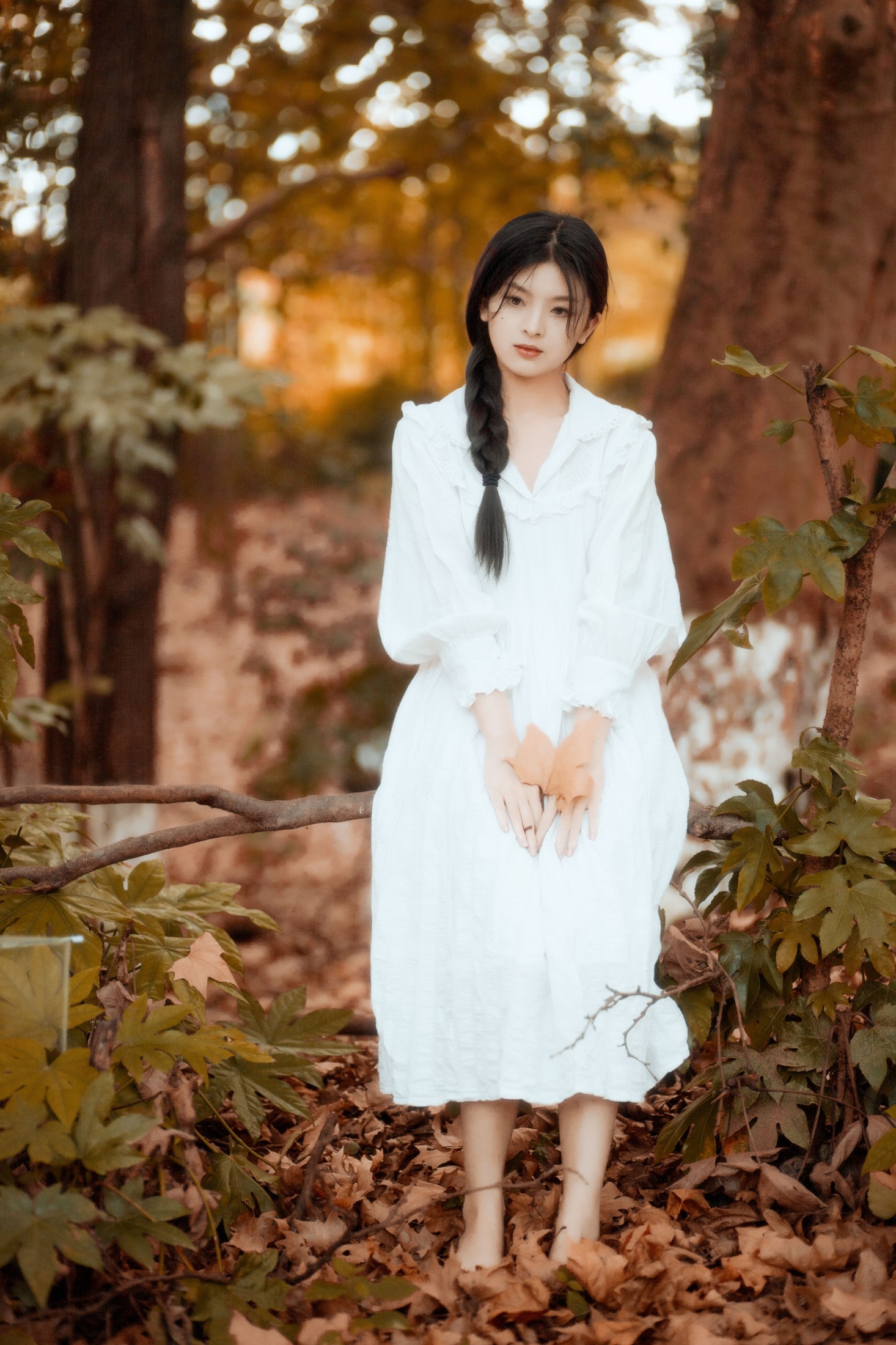 张张包 – 《初秋》[23P]