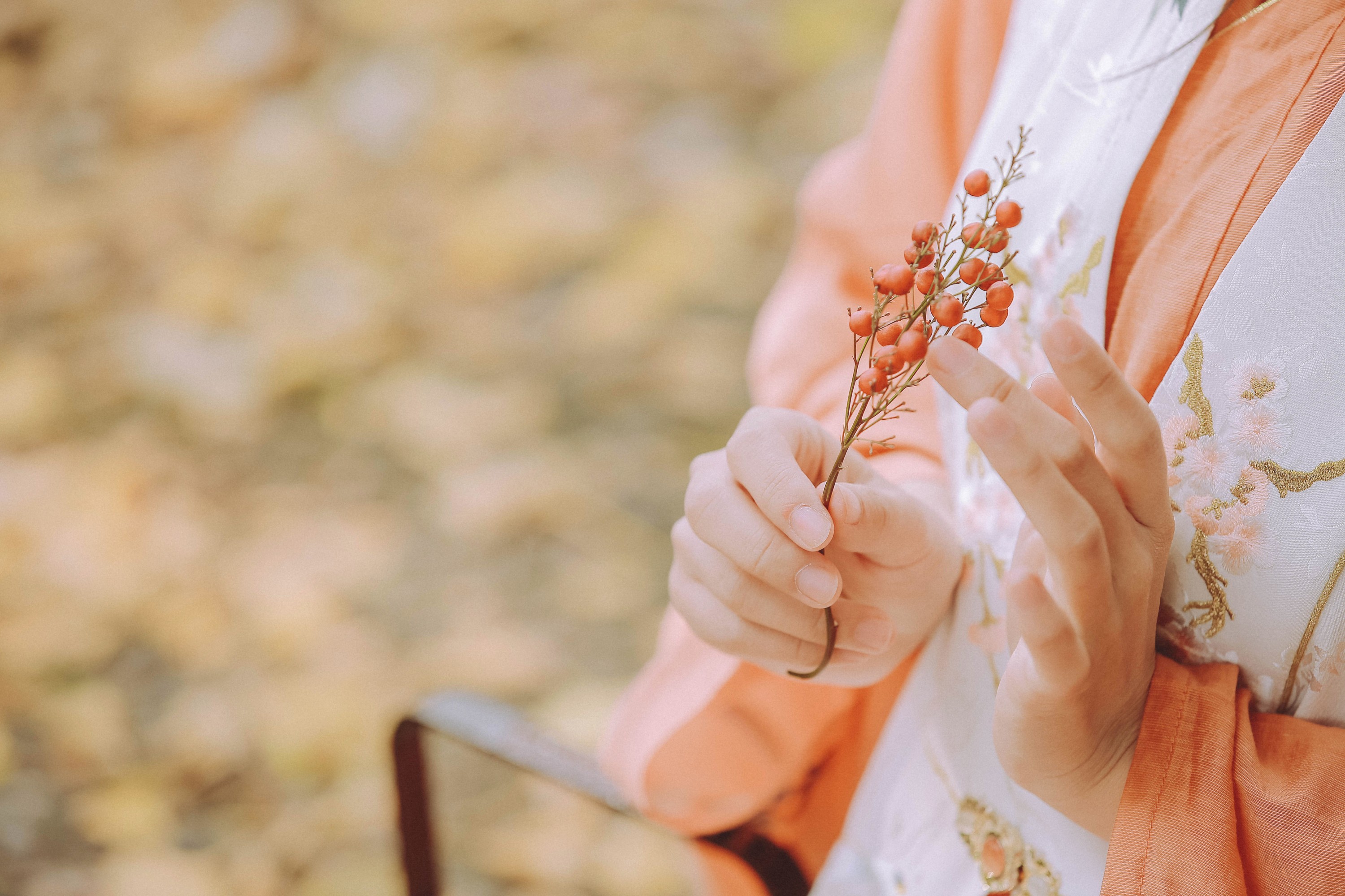 甲涟鱼鱼 – 《秋思》[22P] 插图5