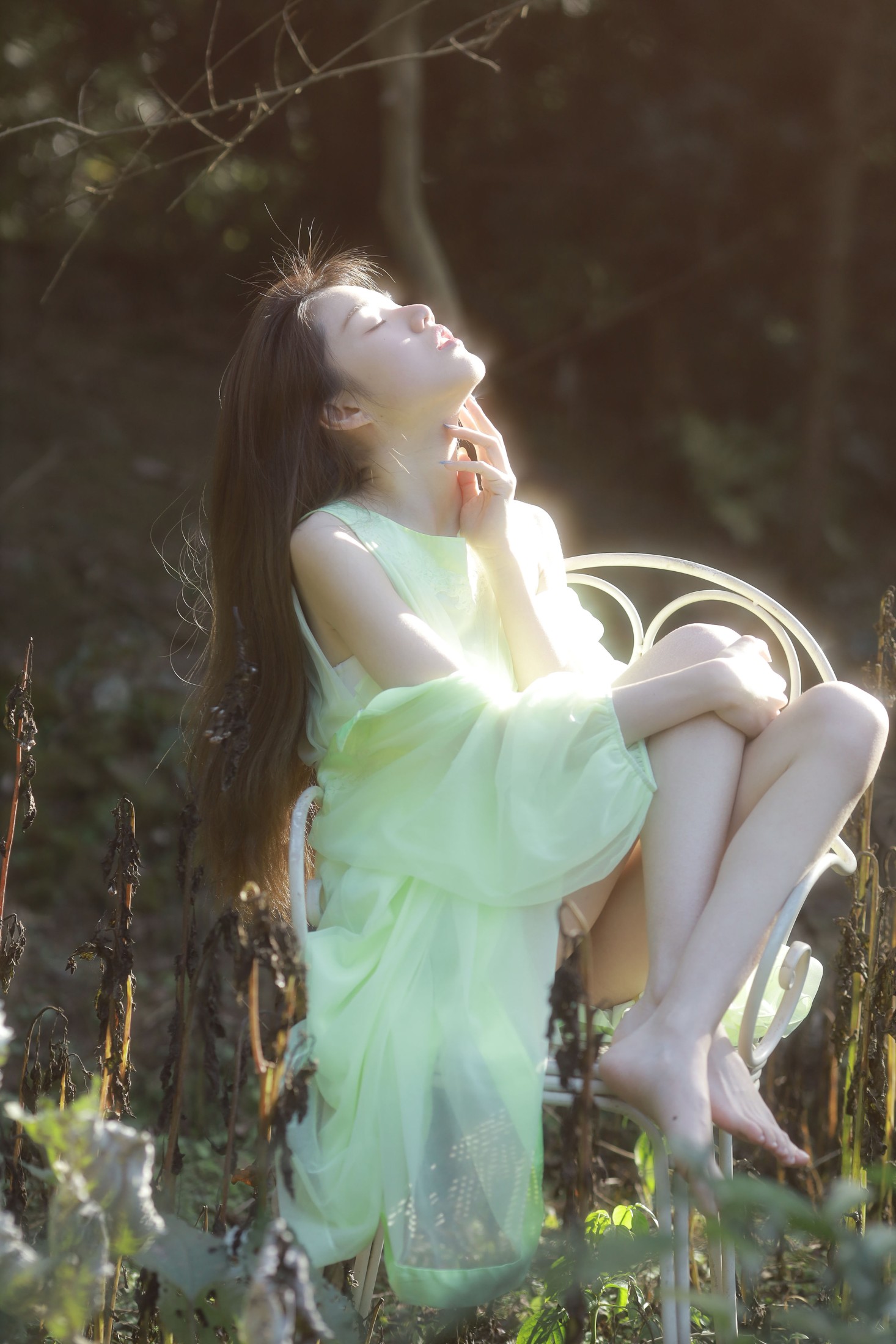 雨涵 – 《绿野仙踪》[38P]