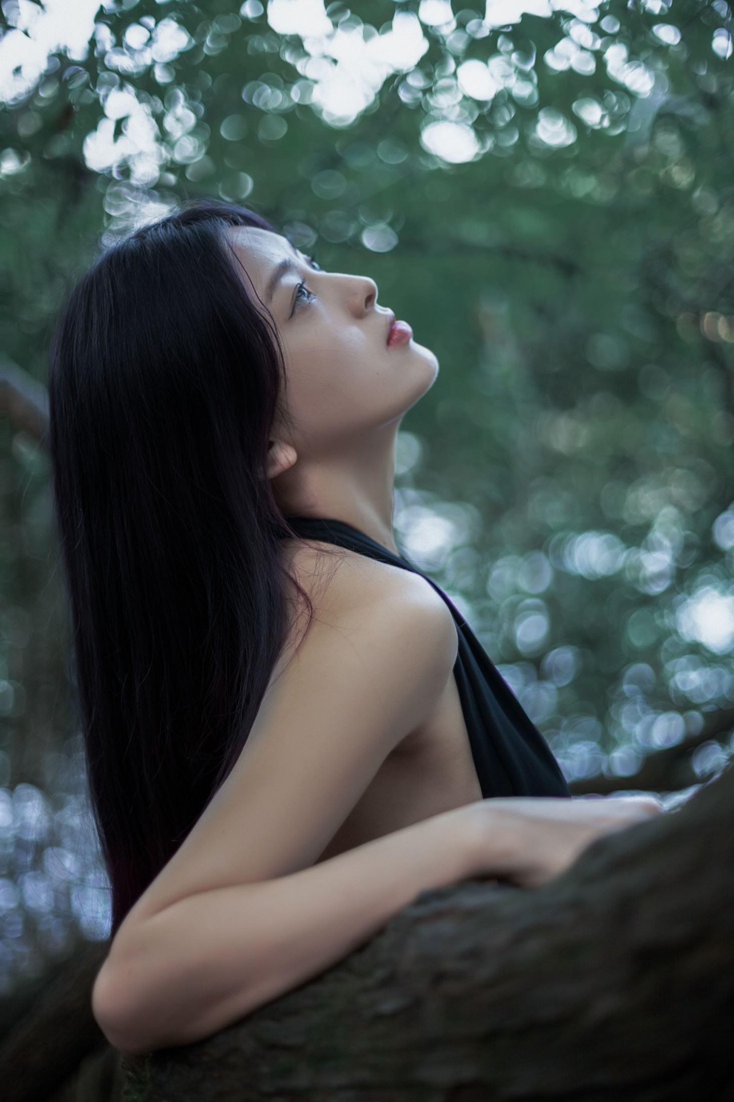 张张包 – 《安静的绿》[25P]