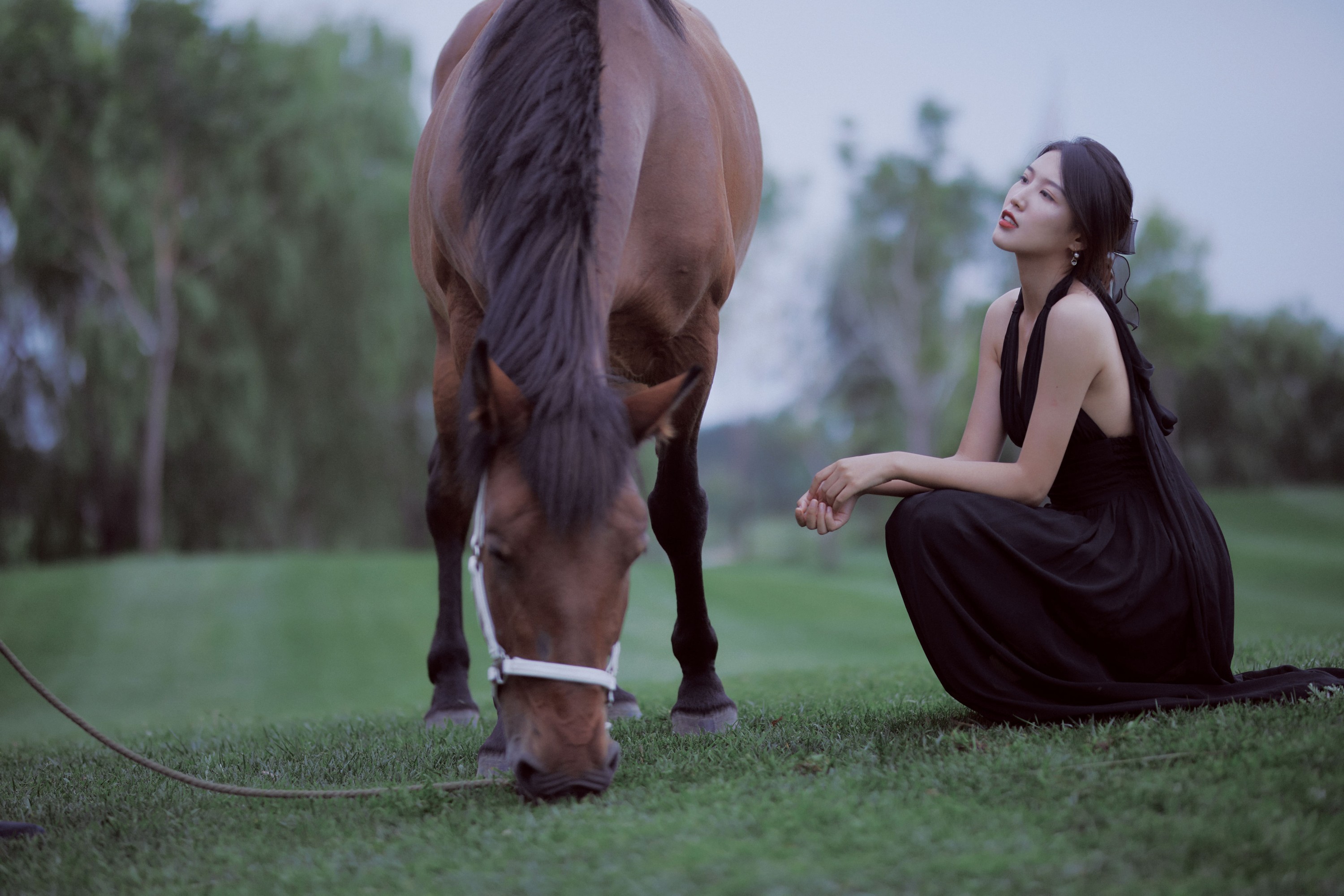 阿妮是我啊 – 《马》[21P]