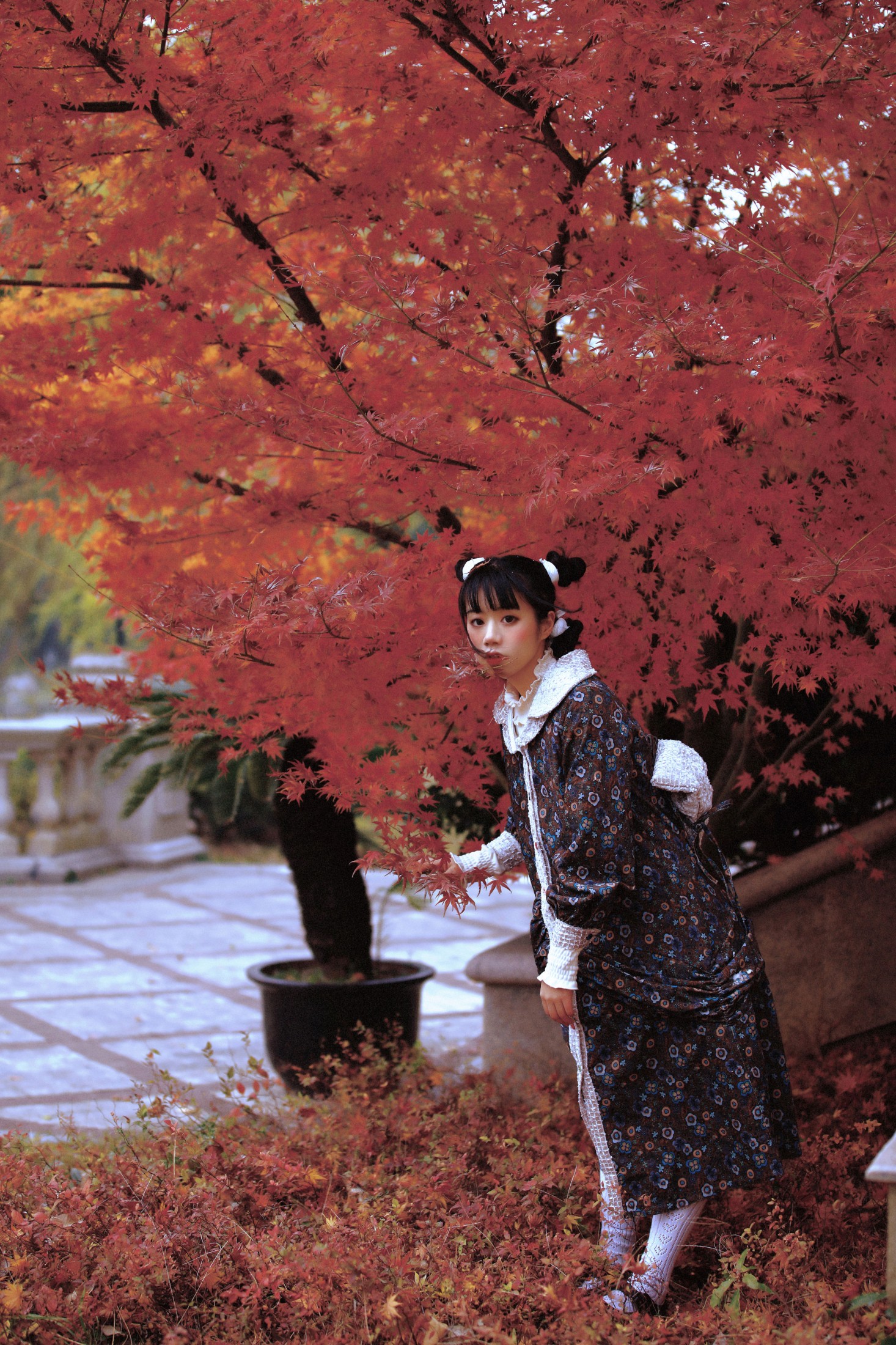 阿怪大人_monster – 《梦回昭和》[24P]