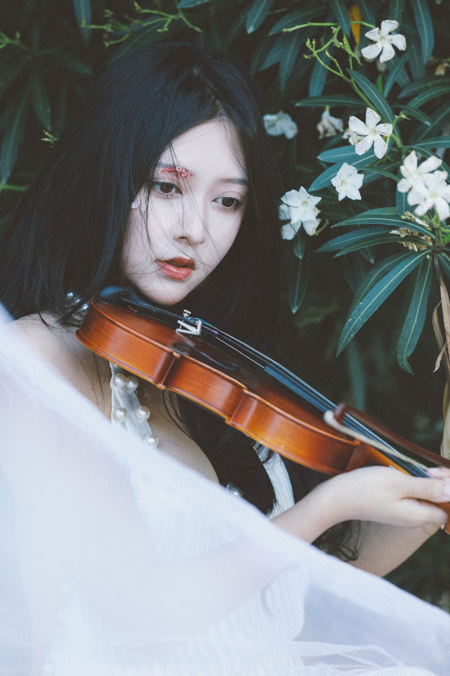 莺莺迟 – 《风》[23P]