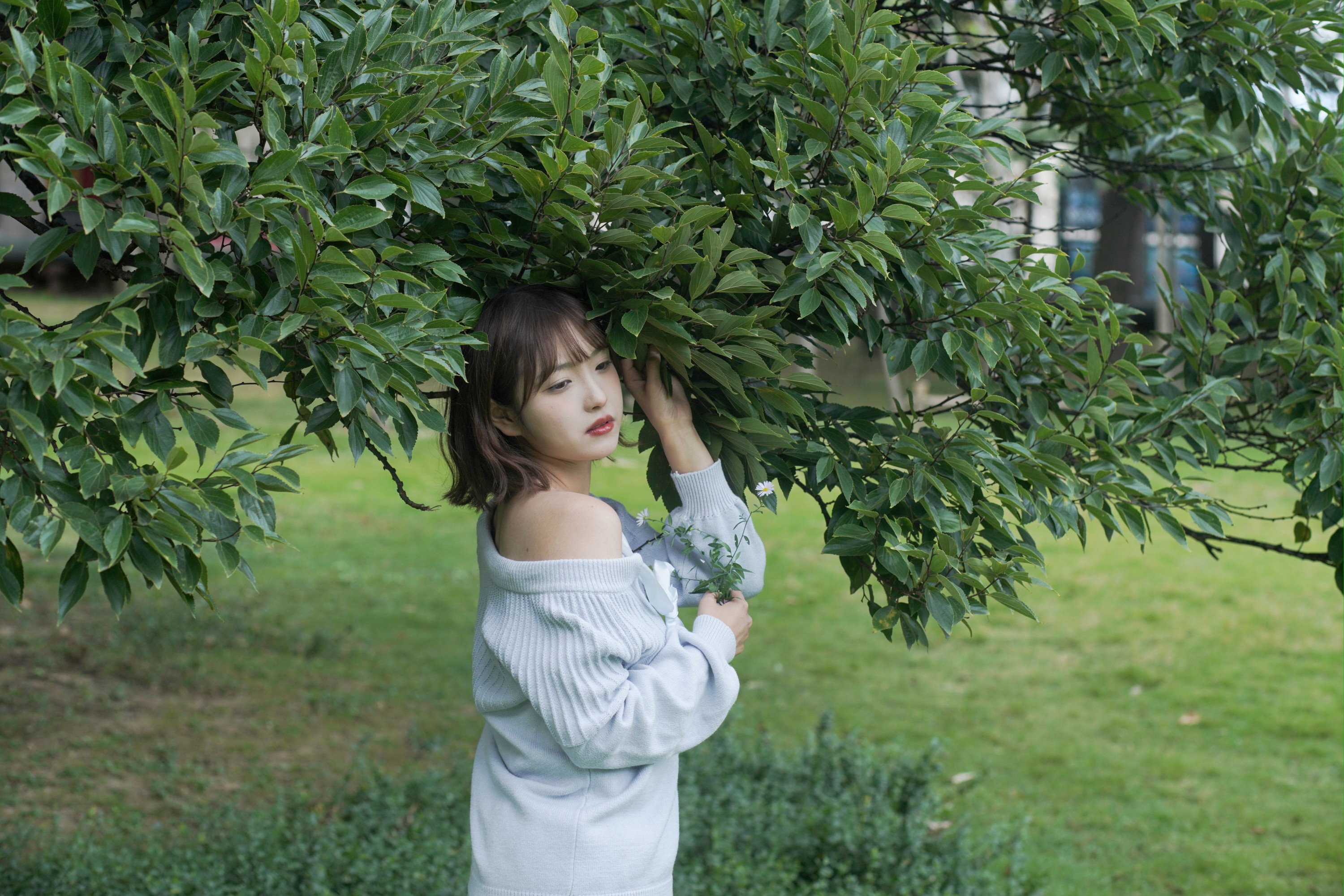 -炸鸡冰可乐- – 《绿野微风》[27P]