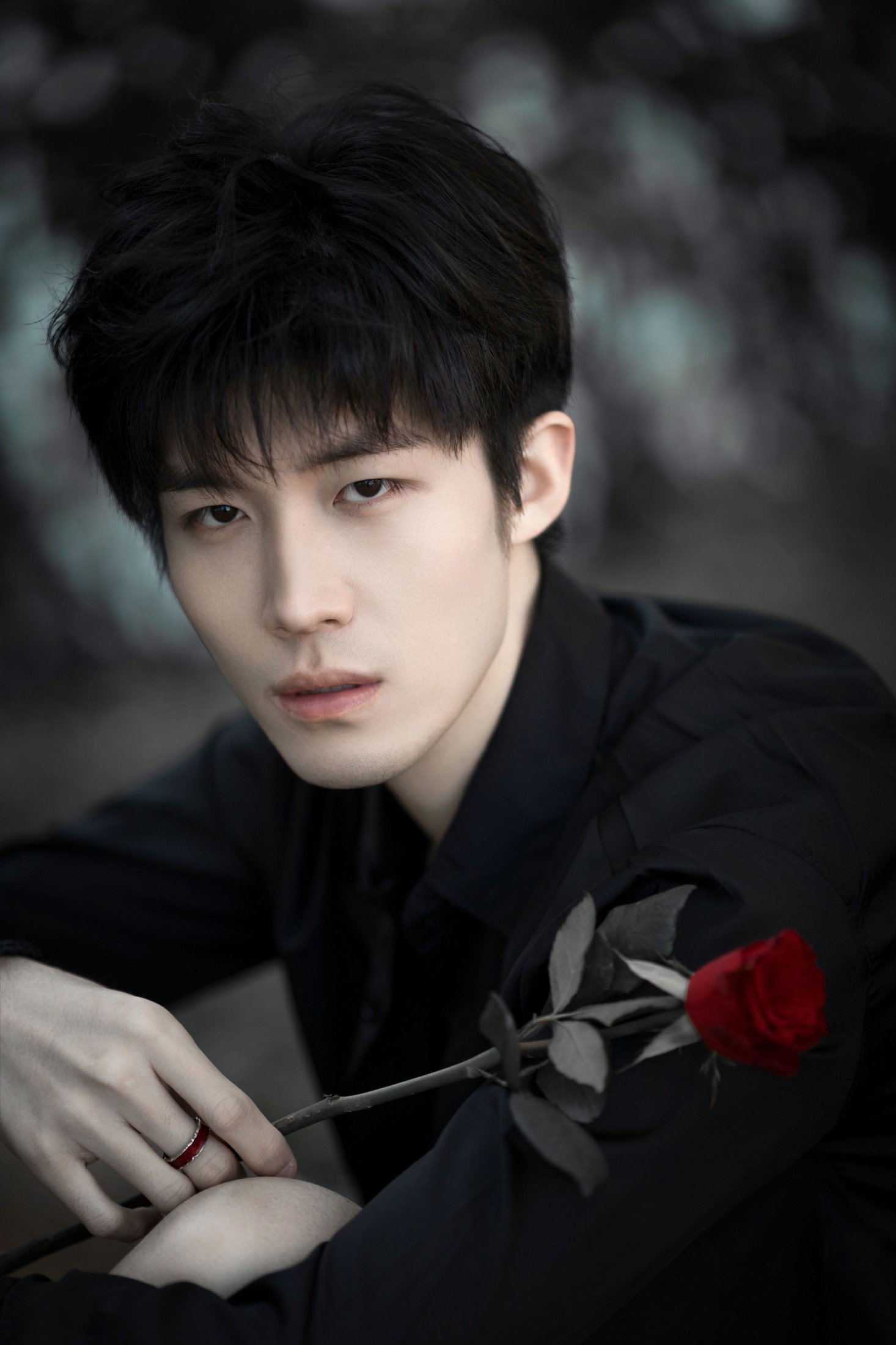 丁丁不刷牙 – 《玫瑰少年》[25P]