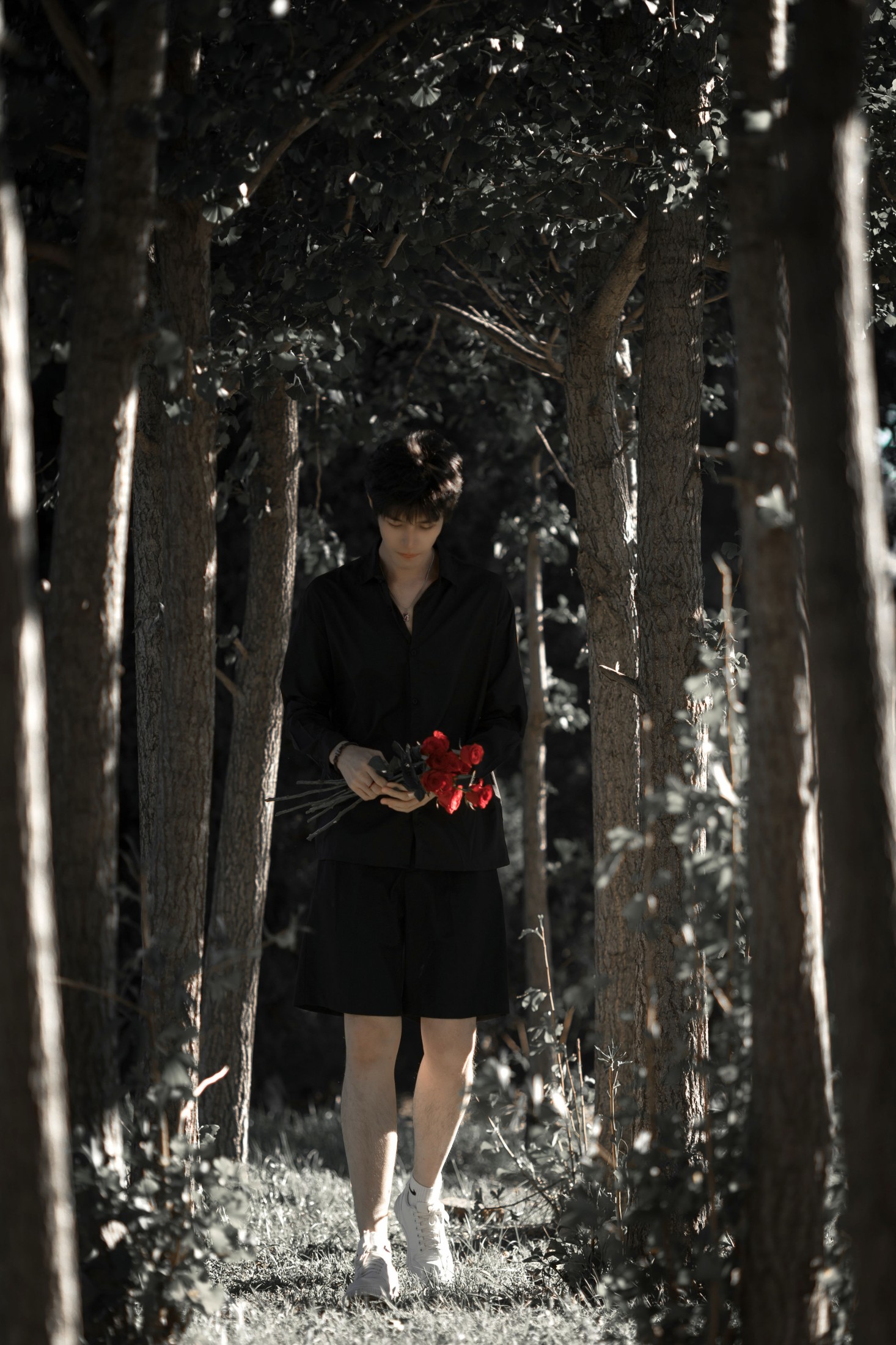 丁丁不刷牙 – 《玫瑰少年》[25P]