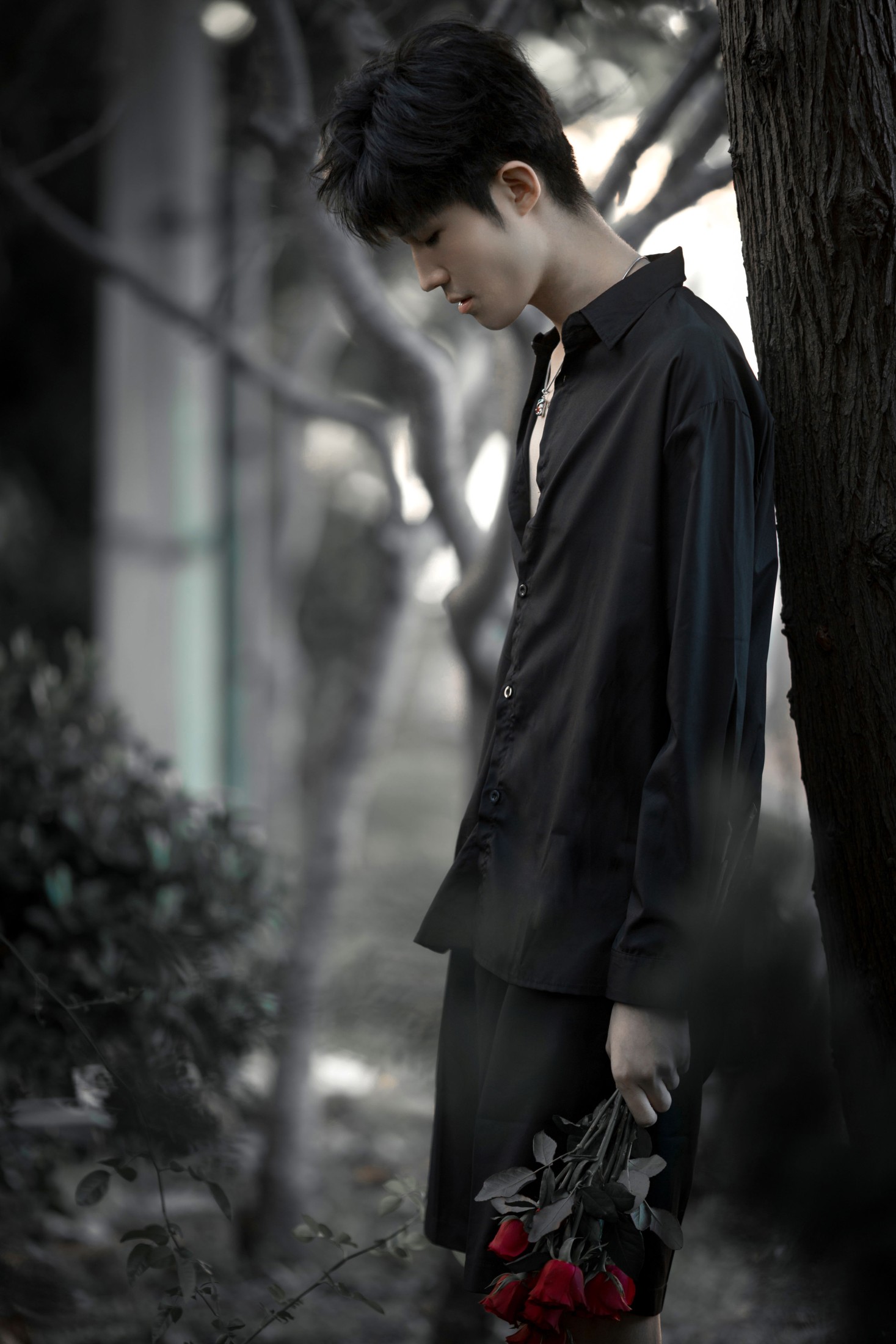 丁丁不刷牙 – 《玫瑰少年》[25P]