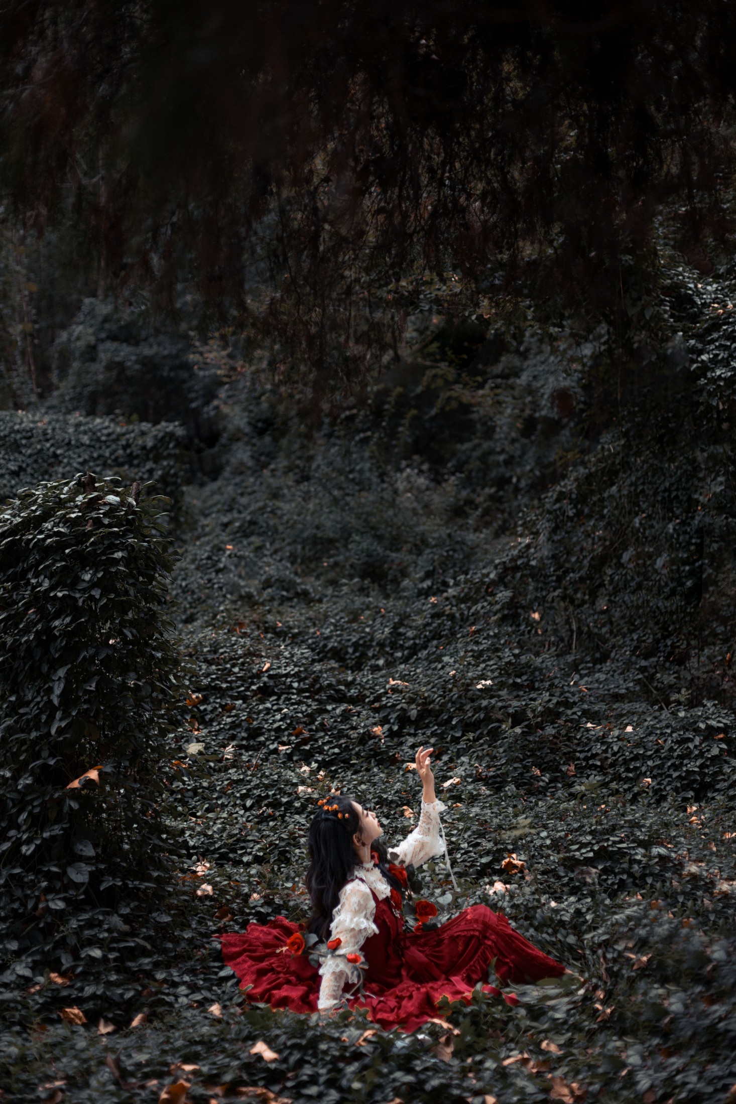 ASOE – 《最后一朵玫瑰》[25P]