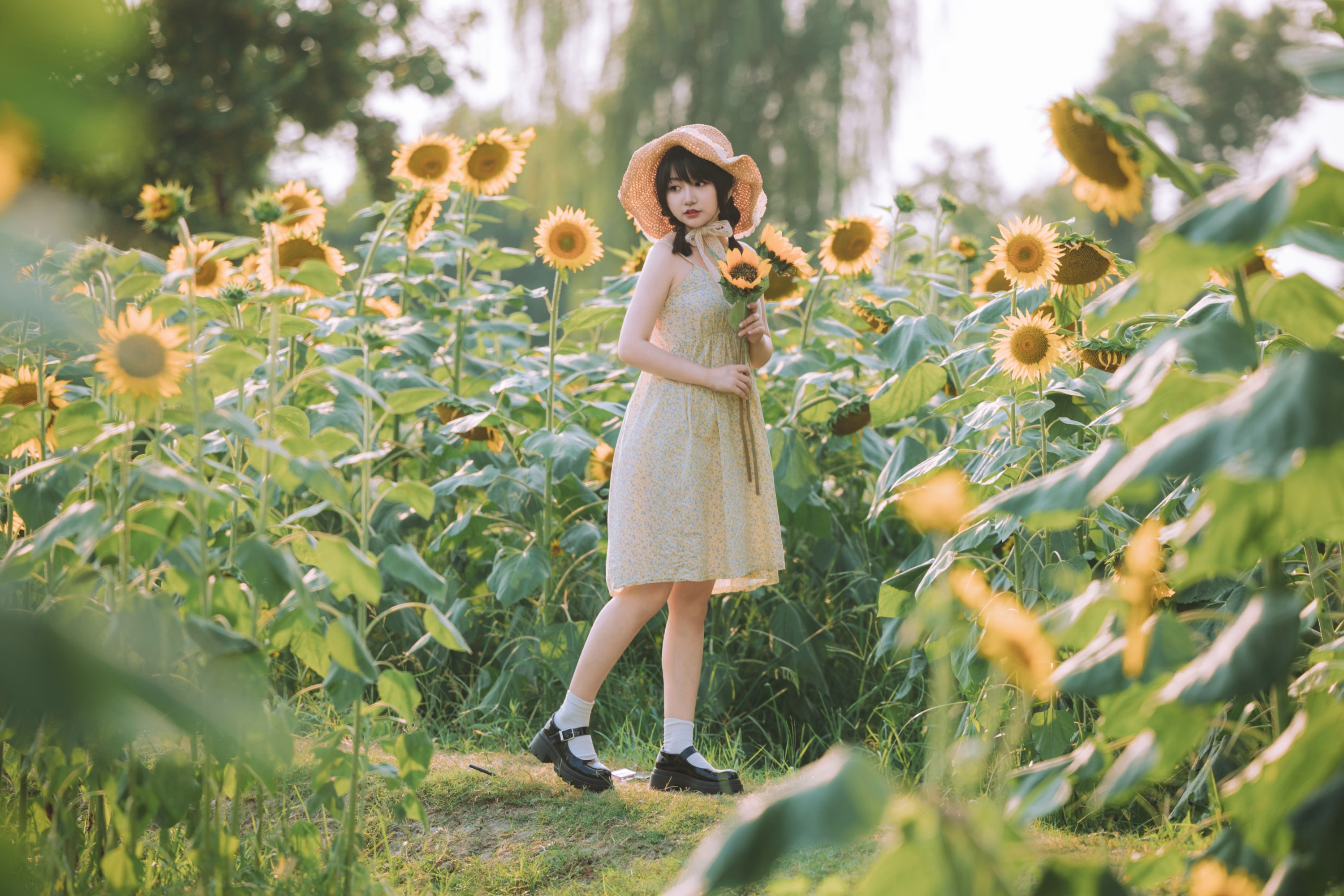 金盏璃 – 《向阳而生》[26P]