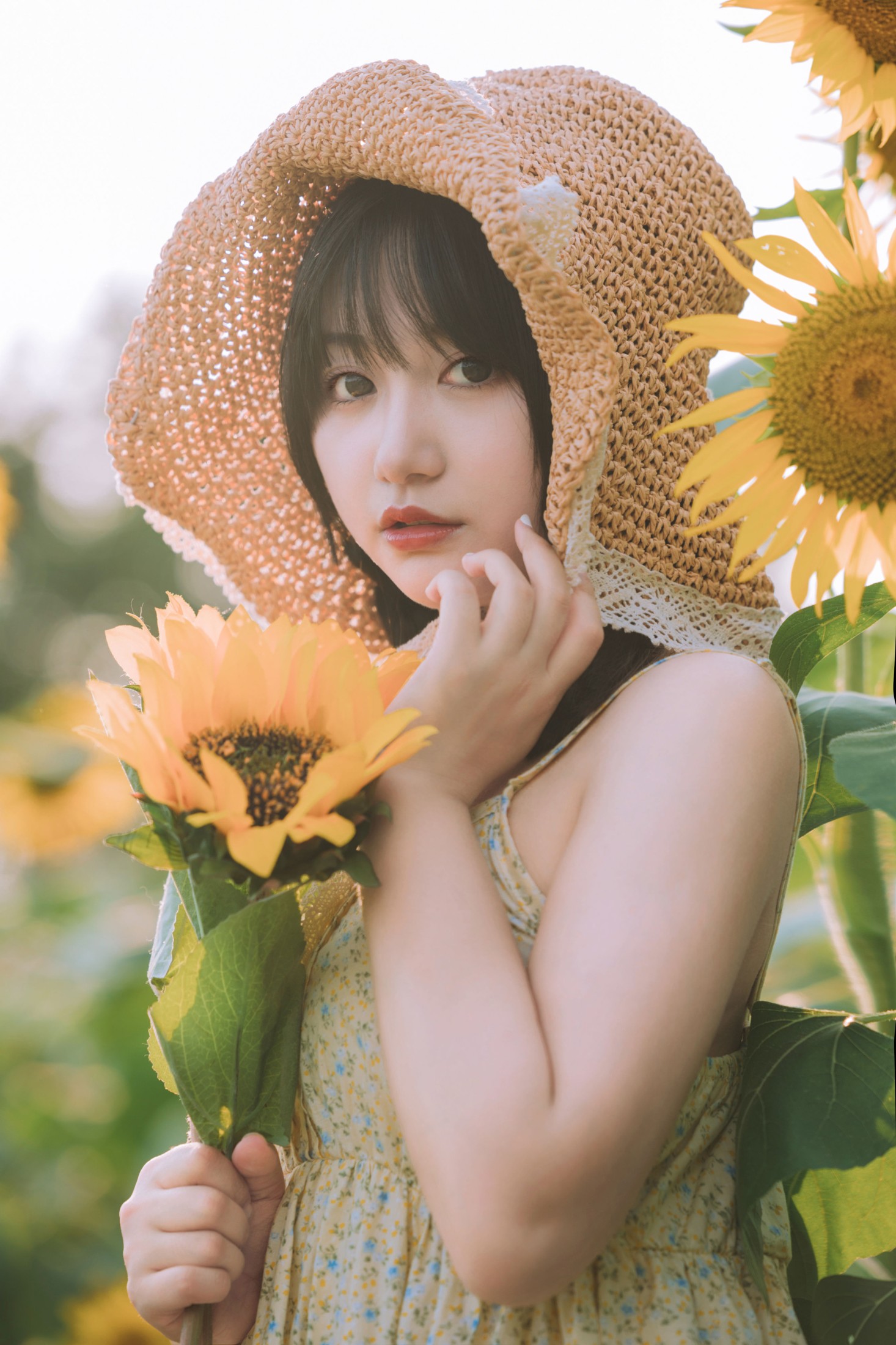 金盏璃 – 《向阳而生》[26P]