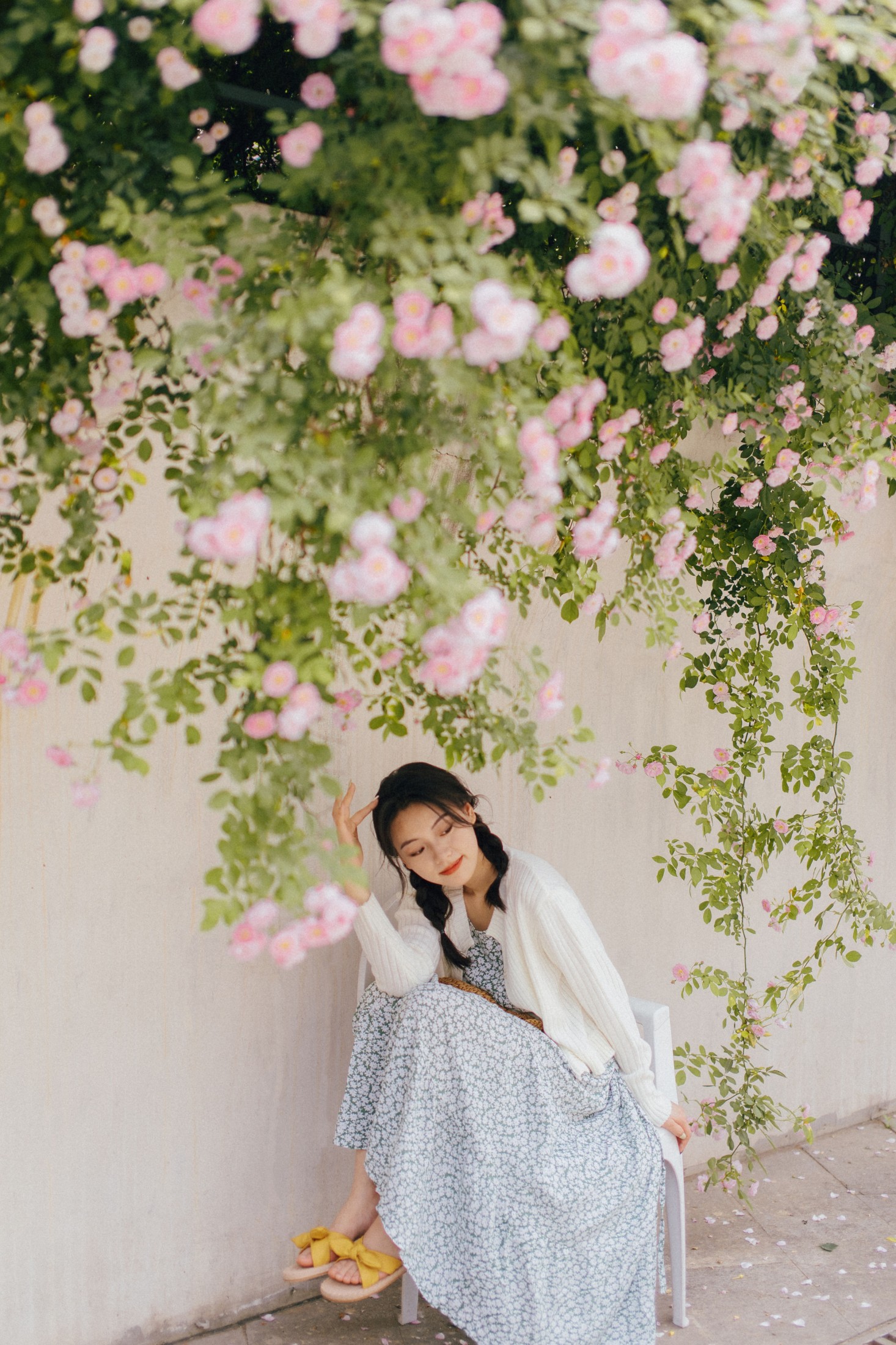 九月 – 《蔷薇》[27P] 插图5