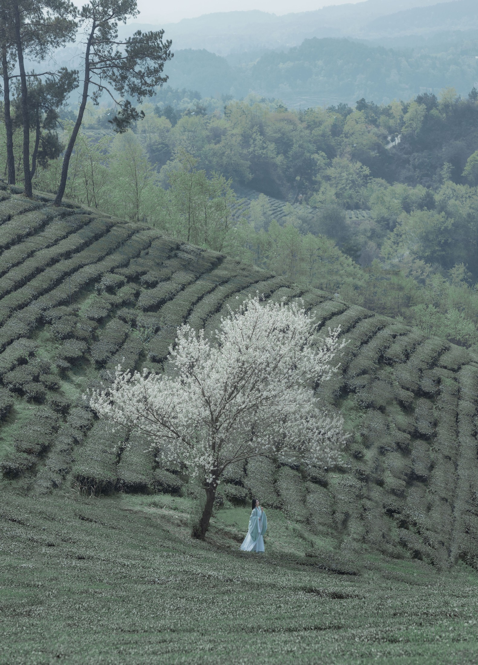 _Bllc – 《一梦浮生》[21P]