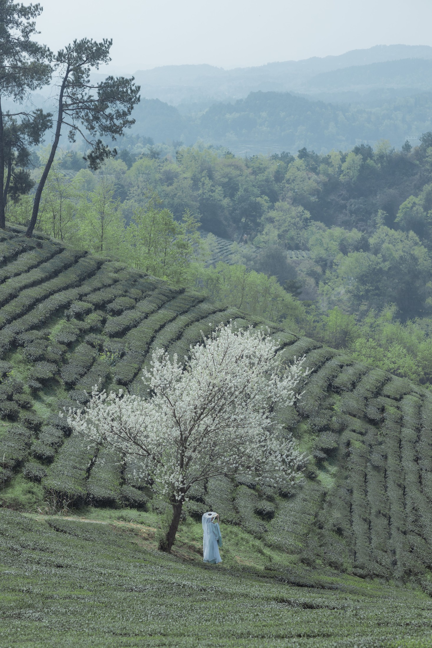 _Bllc – 《一梦浮生》[21P]