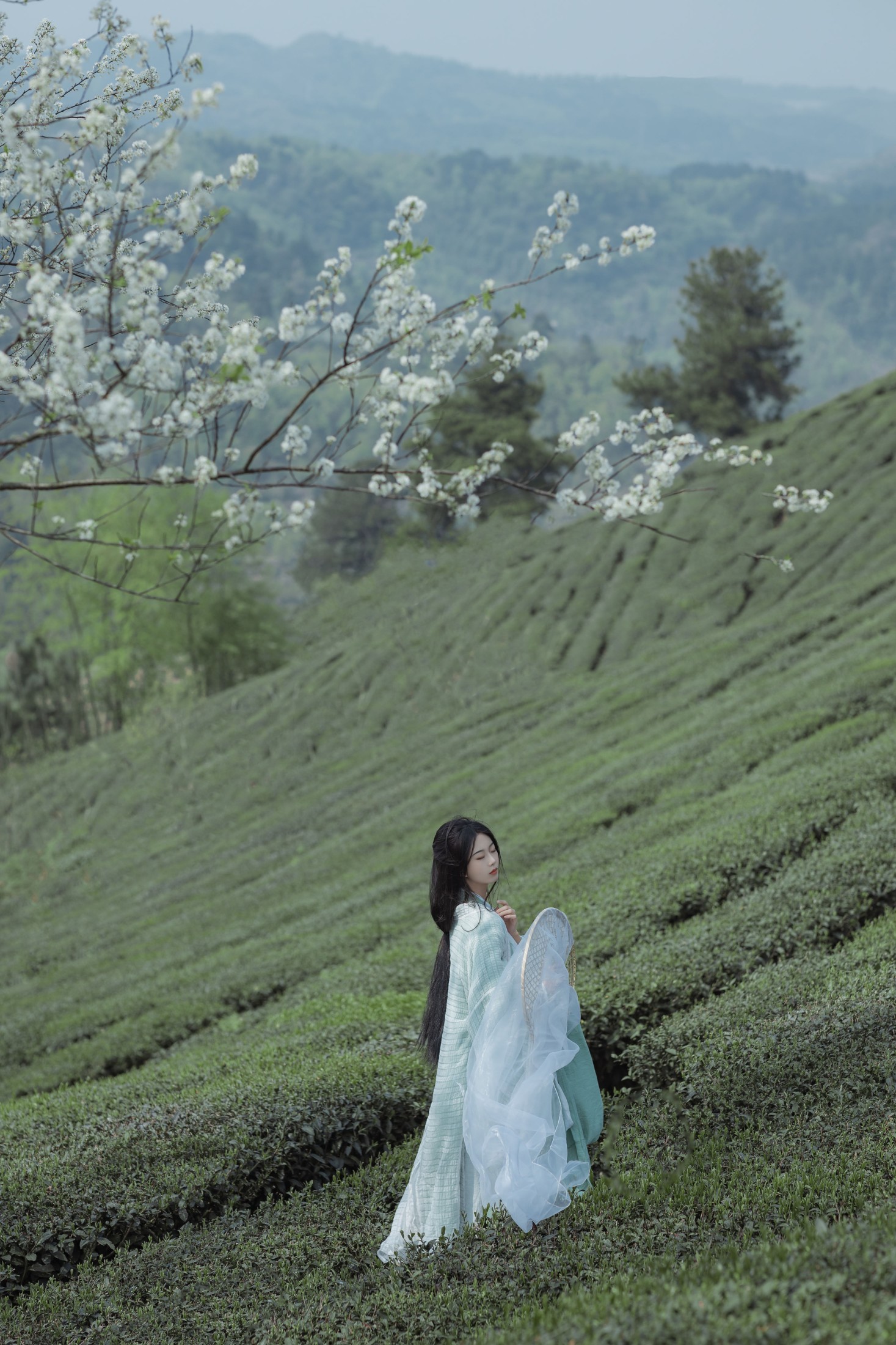 _Bllc – 《一梦浮生》[21P]