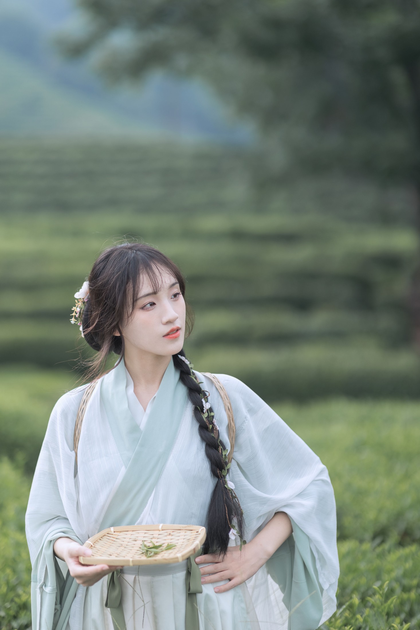 方莛玉 – 《采茶纪》[54P] 插图4