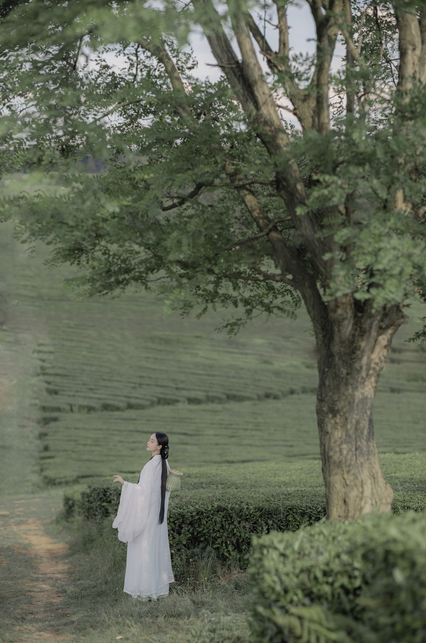 灿暖暖暖 – 《衣袖染茶香》[20P] 插图4