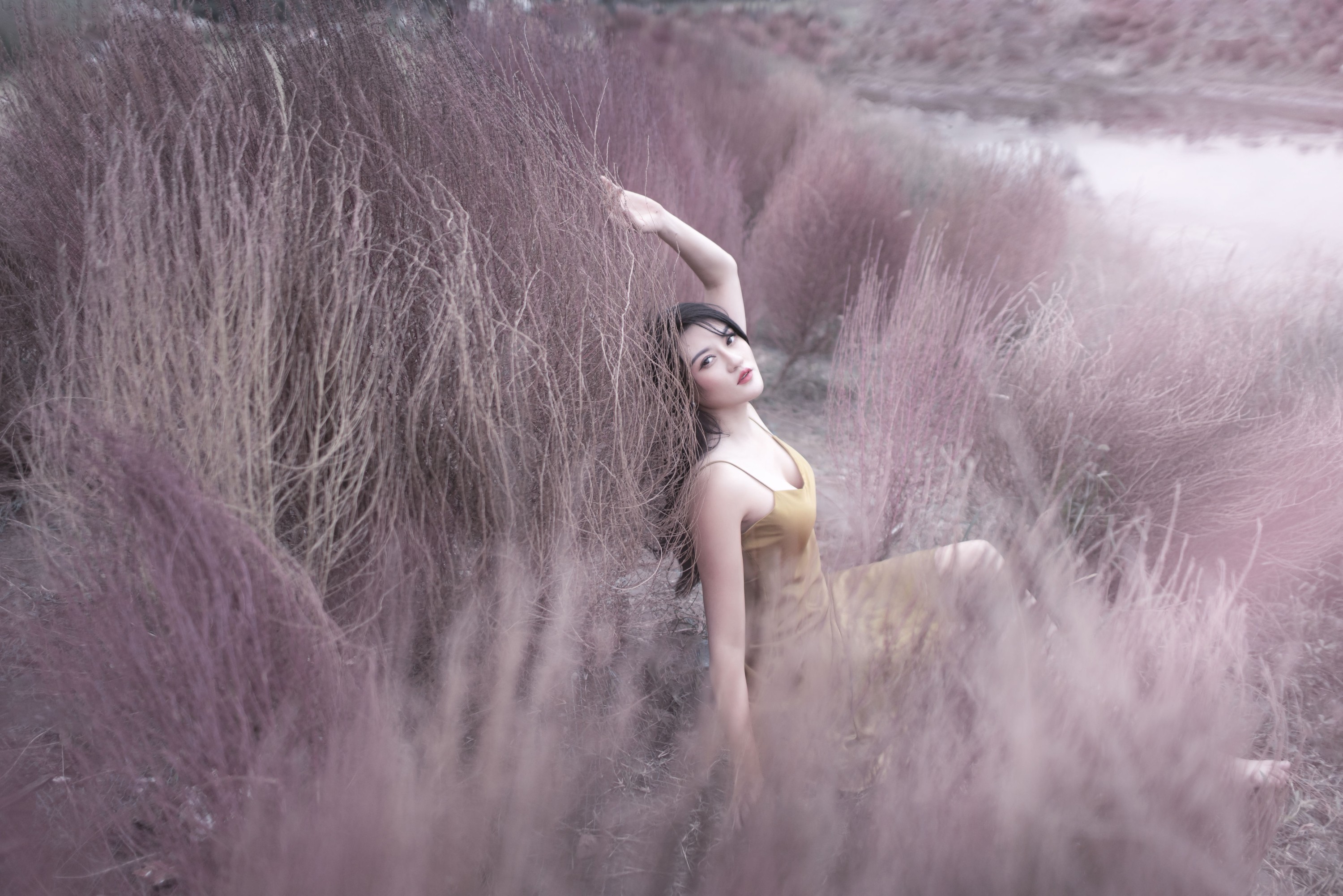 翠花儿 – 《紫色烟花》[28P]