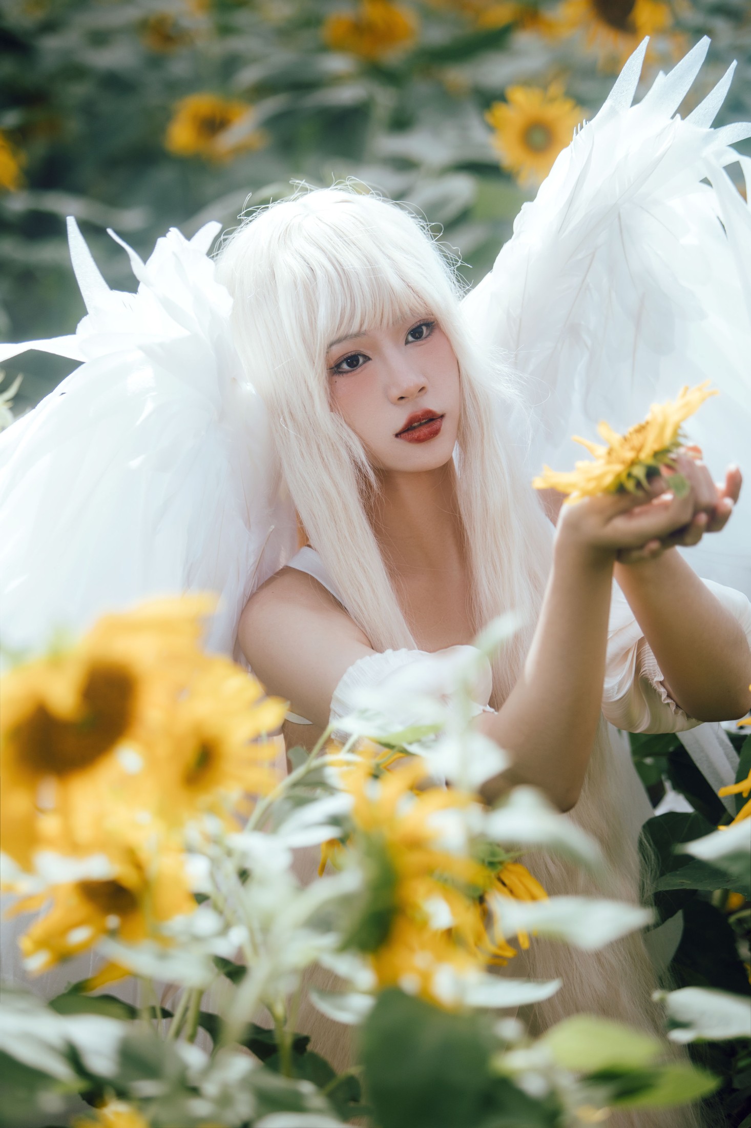 双翮 – 《孤鸟》[21P] 插图5