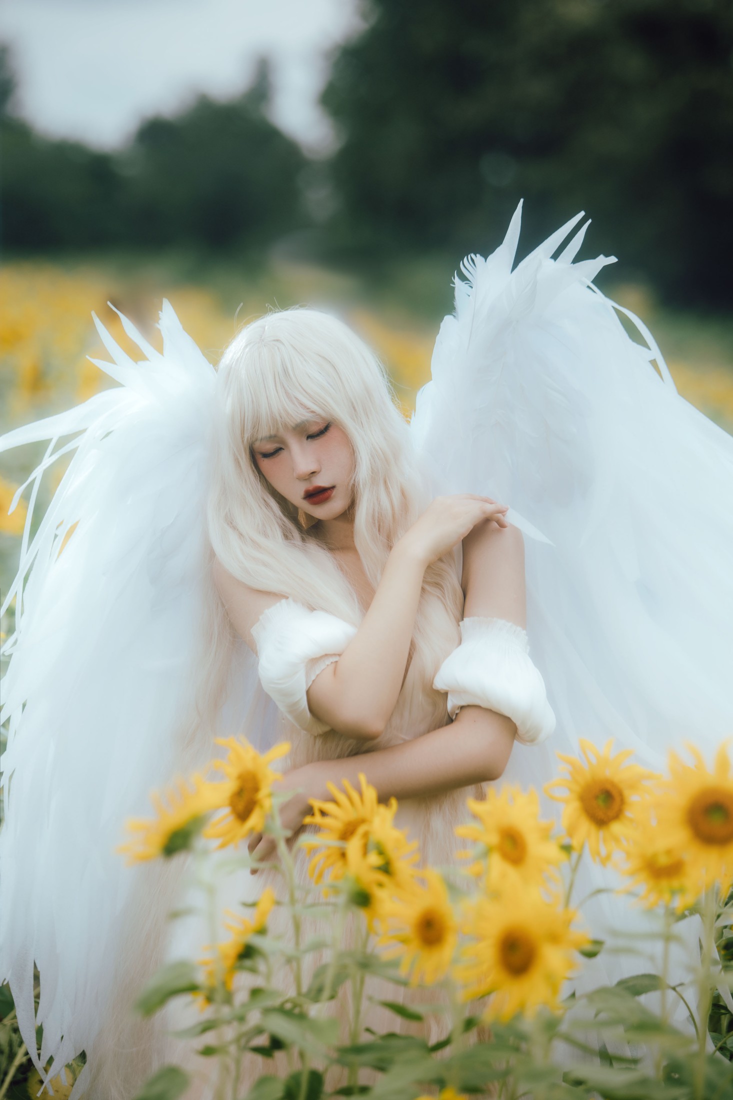 双翮 – 《孤鸟》[21P] 插图3