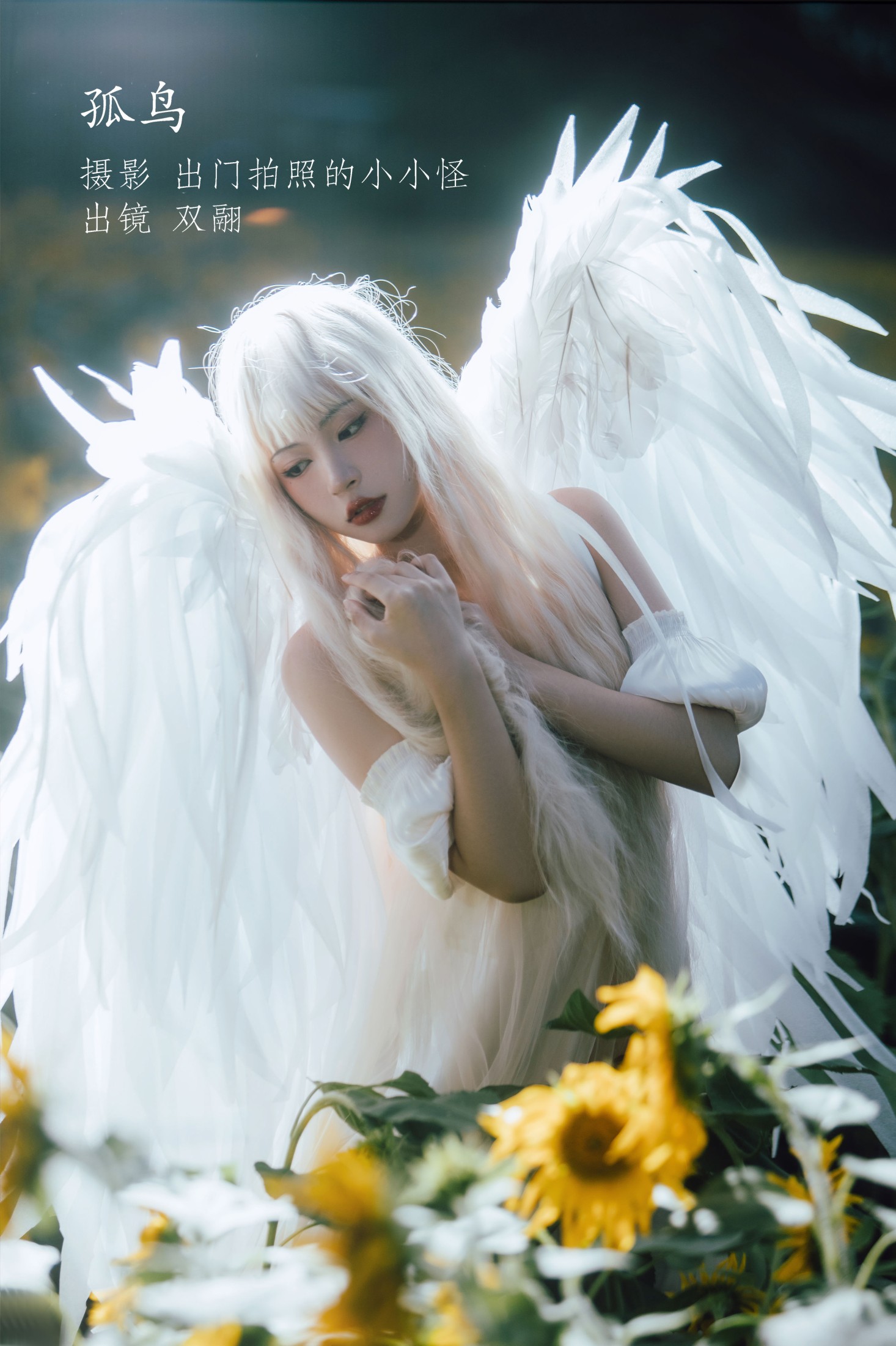 双翮 – 《孤鸟》[21P]