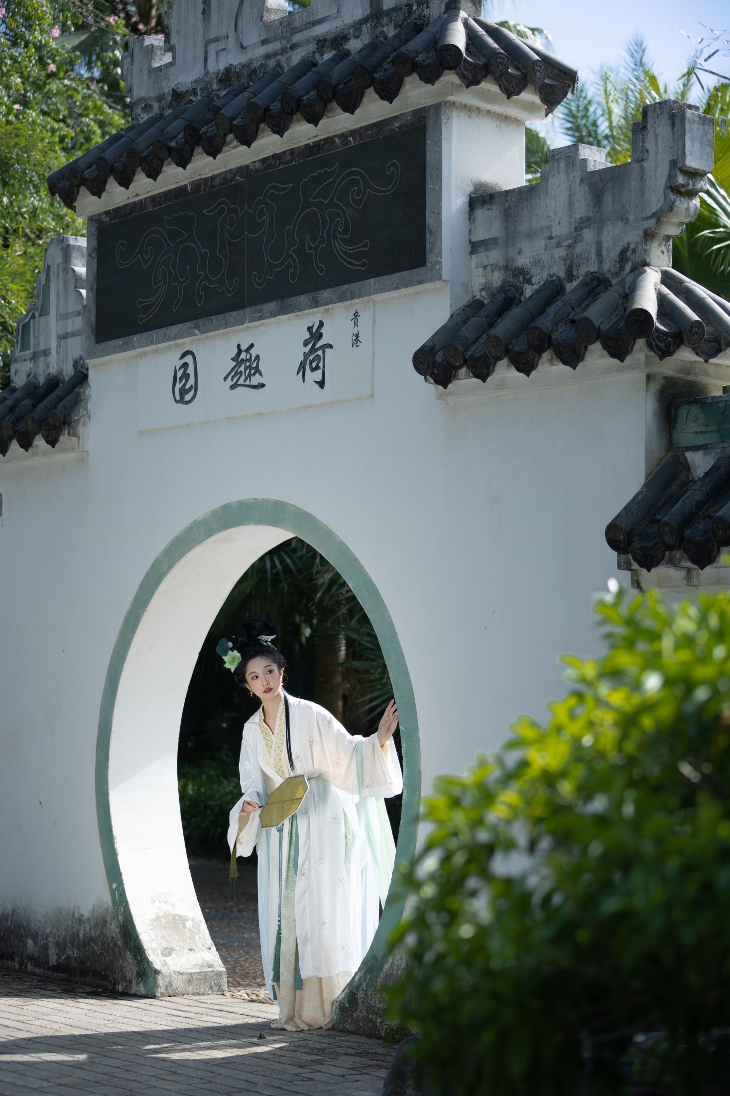 丸子有只猫 – 《绿了芭蕉》[34P]