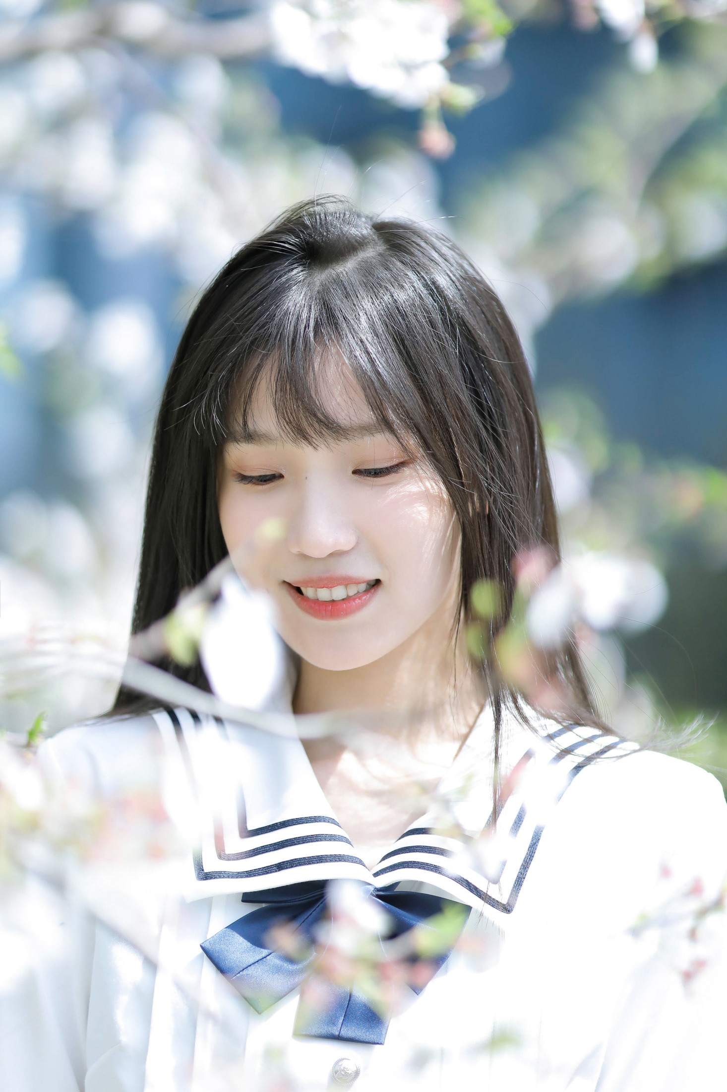 echo – 《春日樱花》[29P]