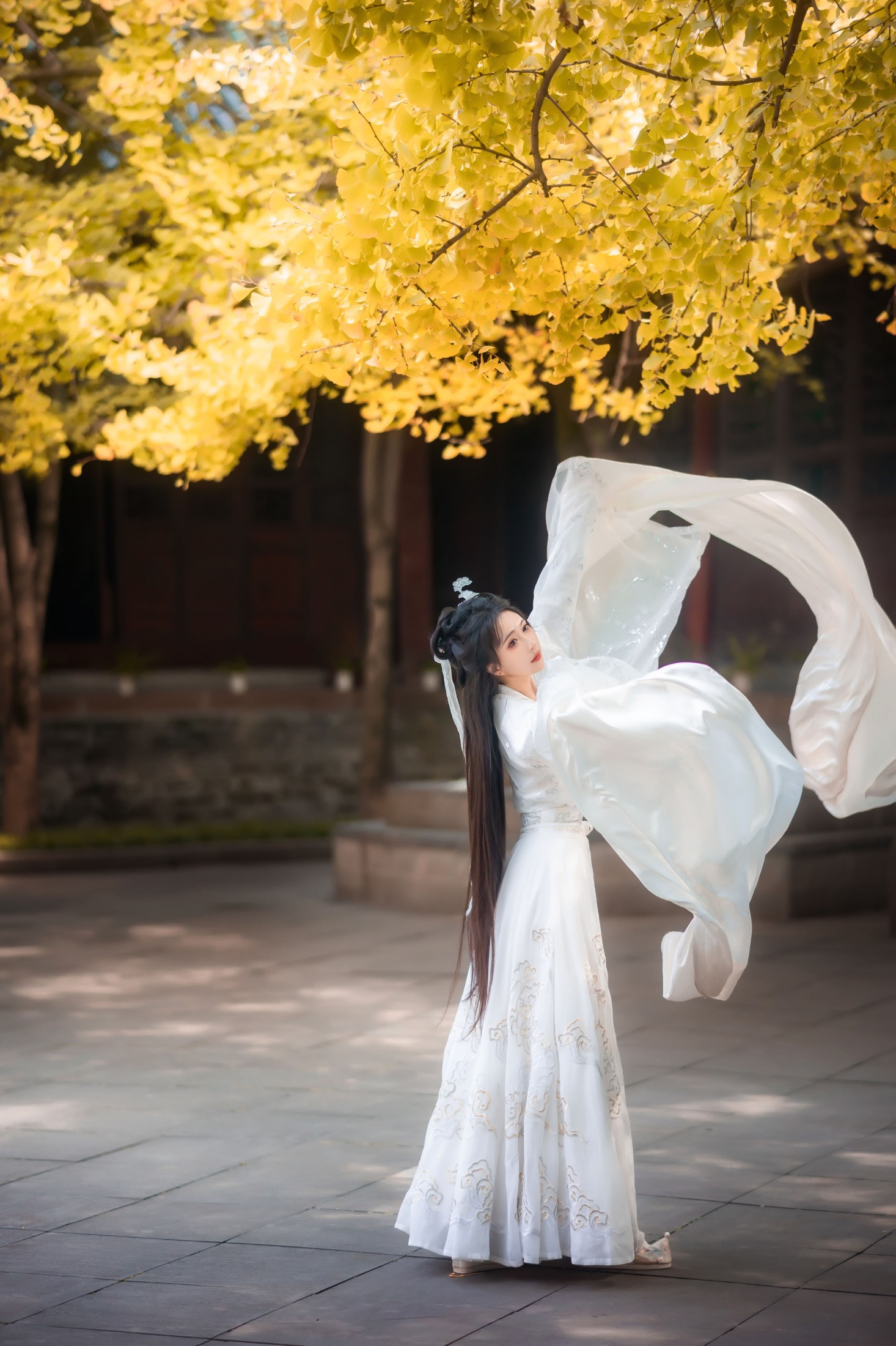 绮罗生的小苏苏 – 《白衣渡我》[34P]