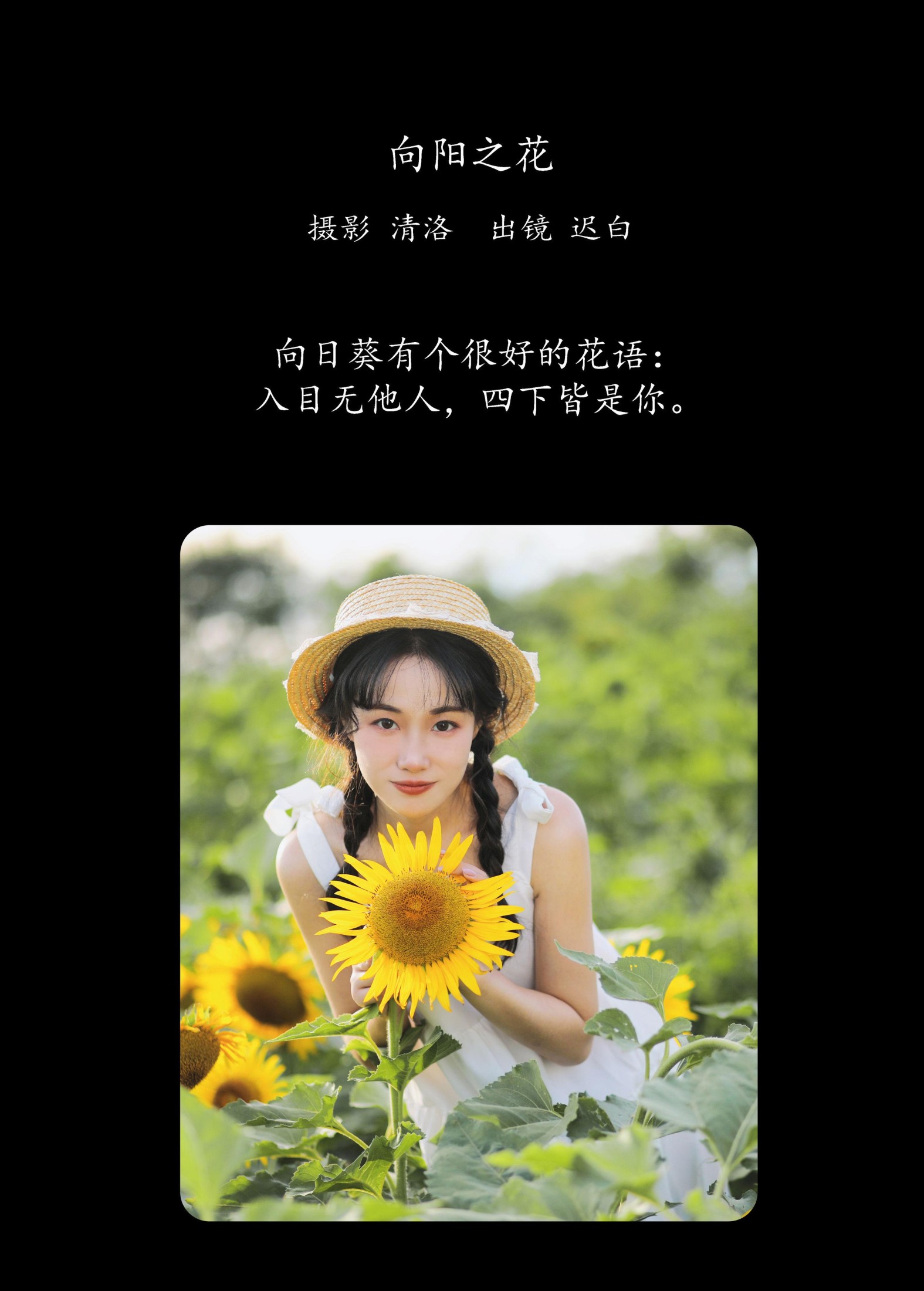 迟白 – 《向阳之花》[36P] 插图2
