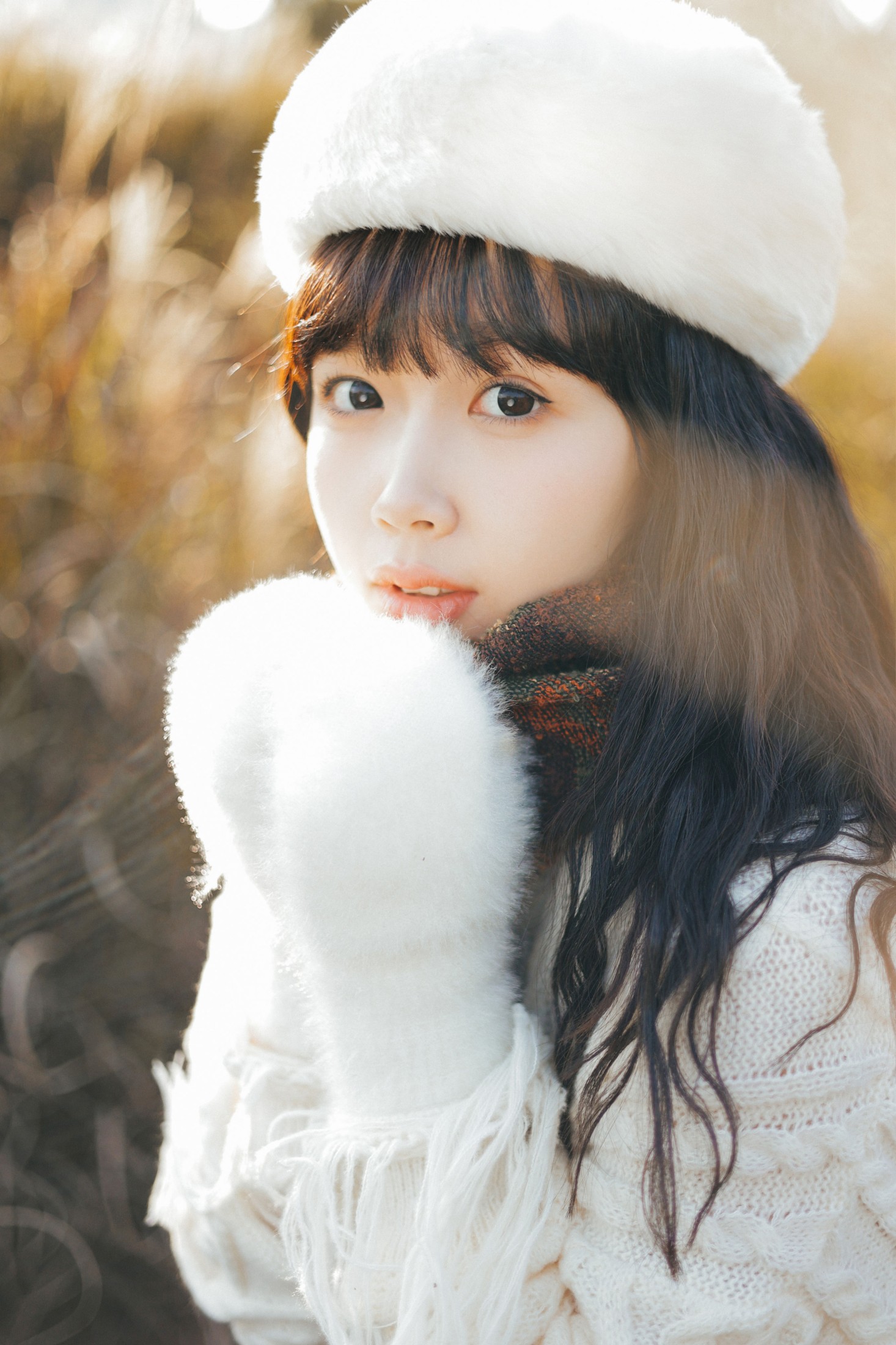 小饼干 – 《冬日恋歌》[45P]