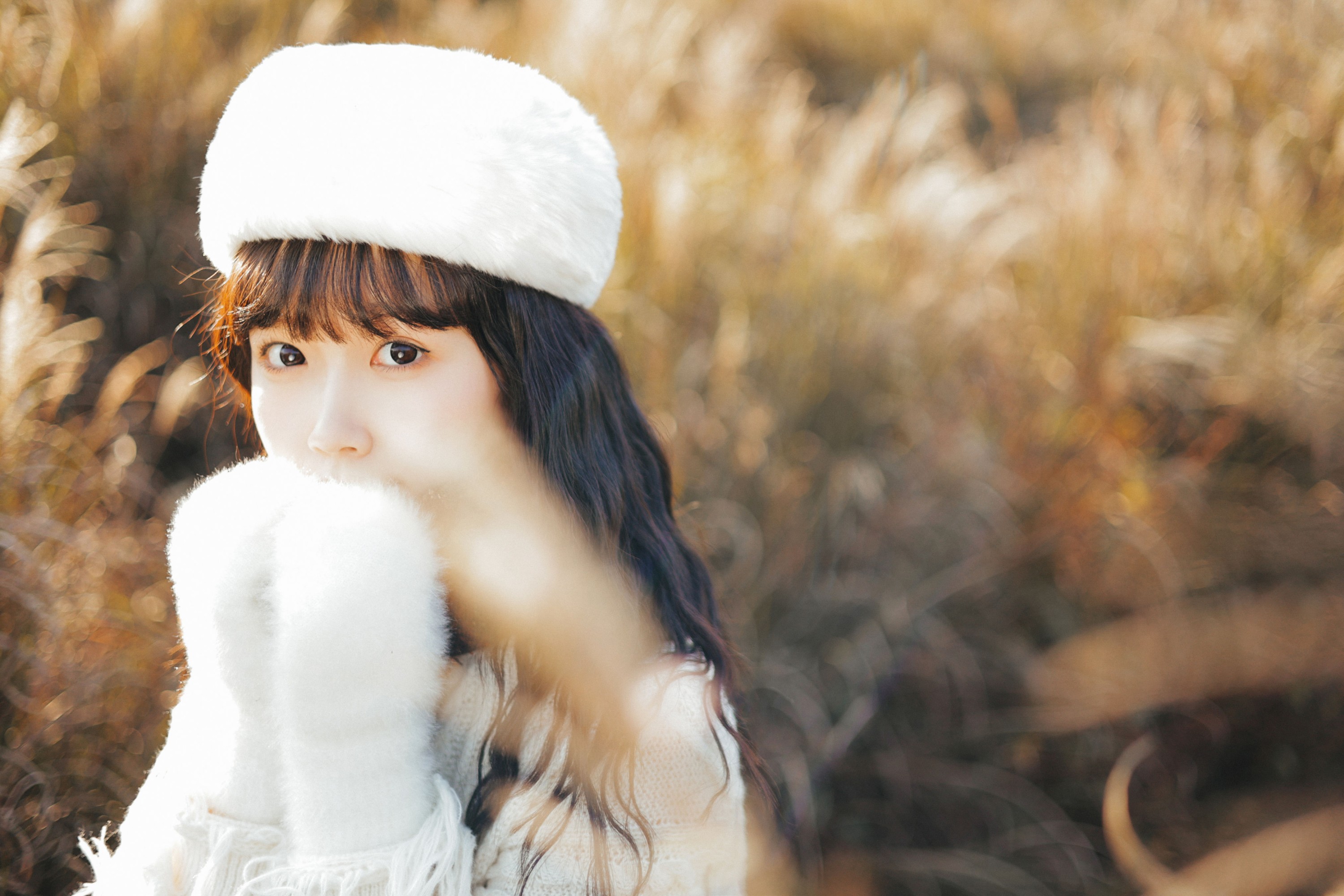 小饼干 – 《冬日恋歌》[45P]