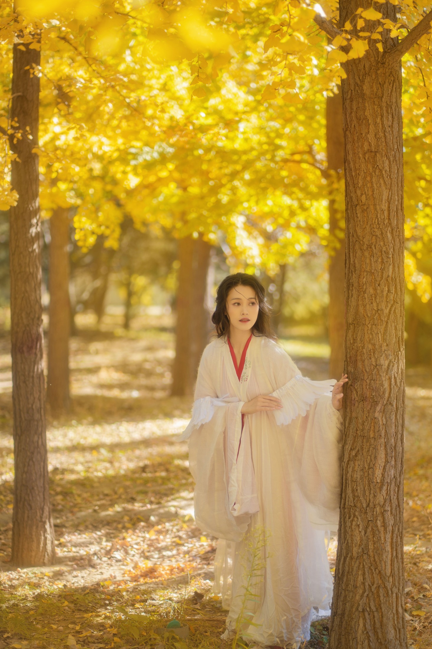 青霜鹅 – 《银杏》[26P]