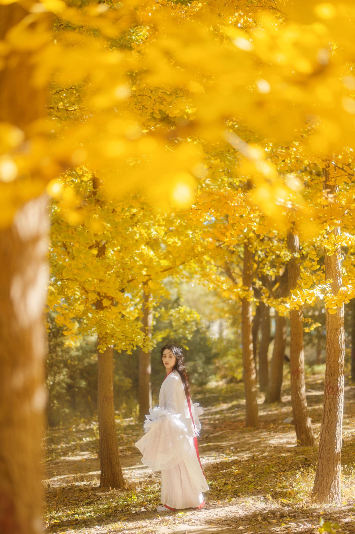 青霜鹅 – 《银杏》[26P]