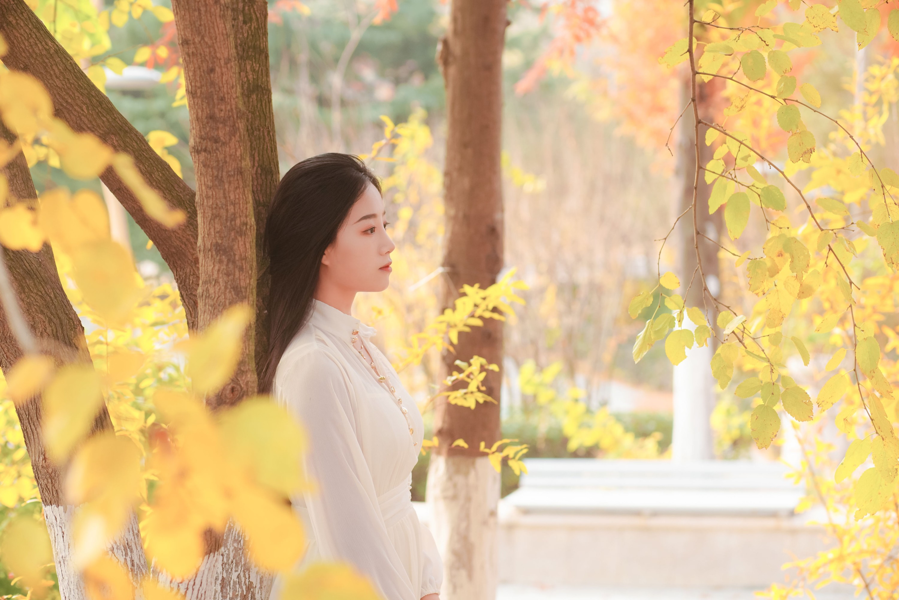 兮兮 – 《只属于秋日的浪漫》[26P]