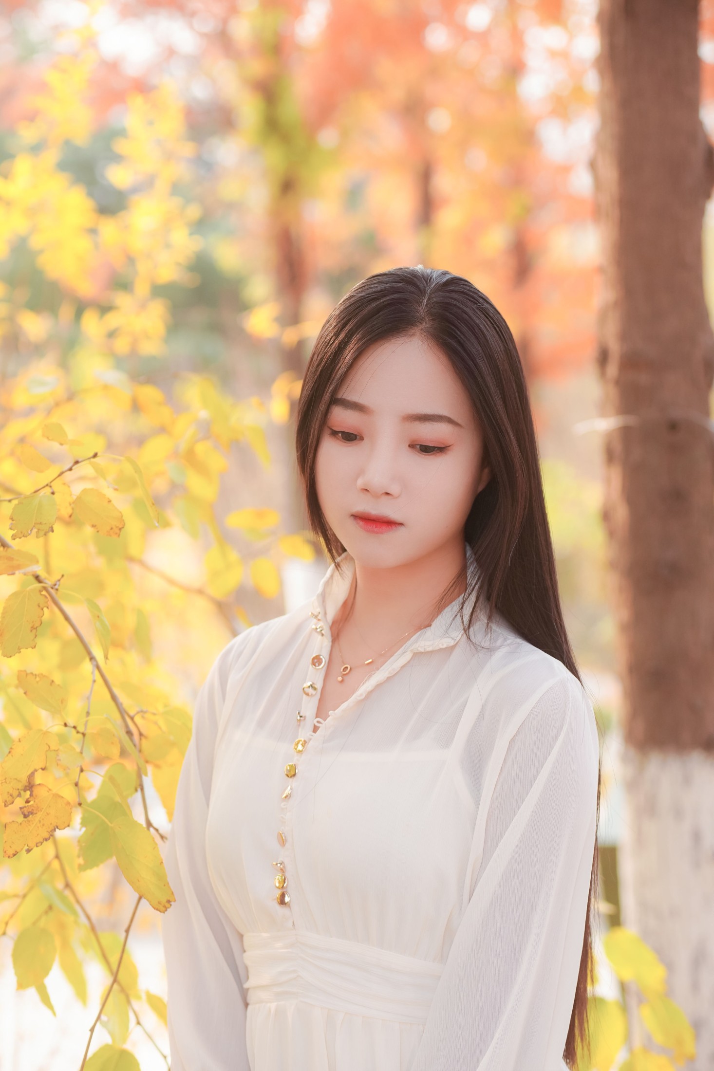 兮兮 – 《只属于秋日的浪漫》[26P]