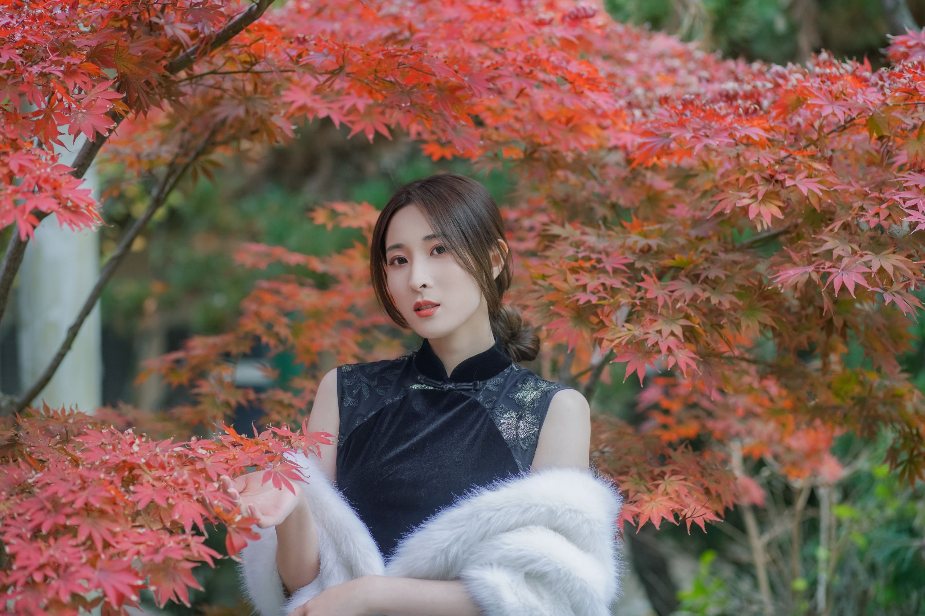 阿音 – 《红枫》[23P]