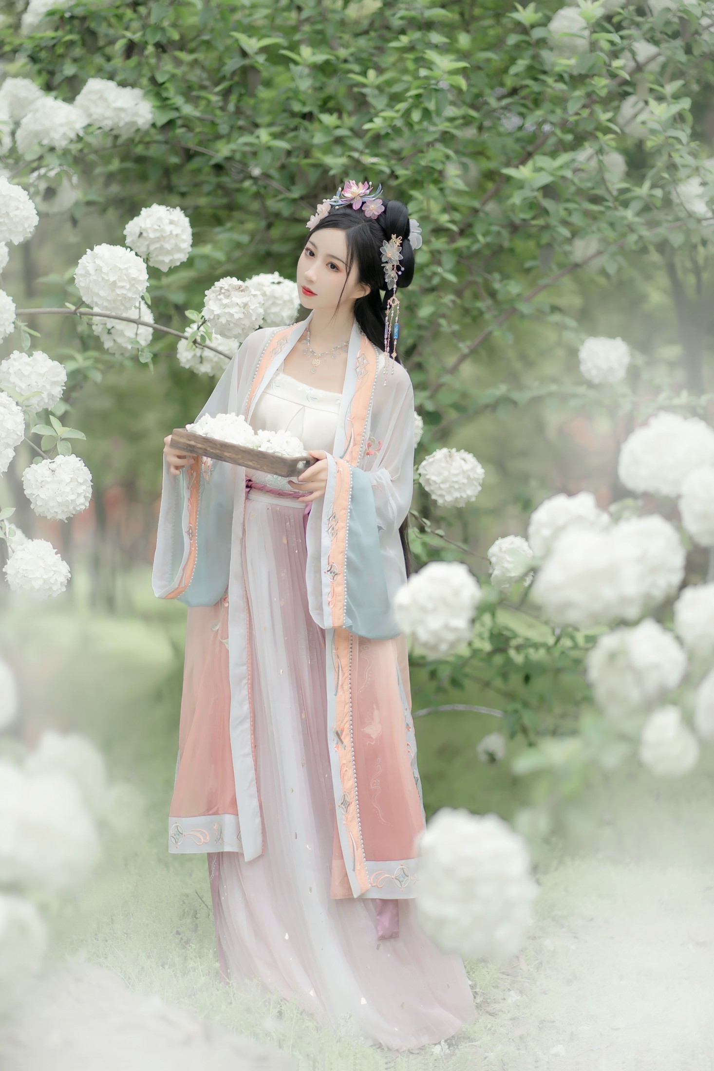 绮罗生的小苏苏 – 《玉楼春》[36P]