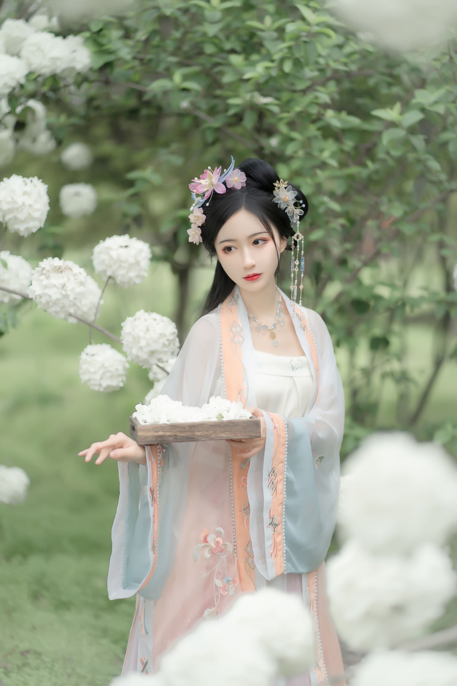 绮罗生的小苏苏 – 《玉楼春》[36P]