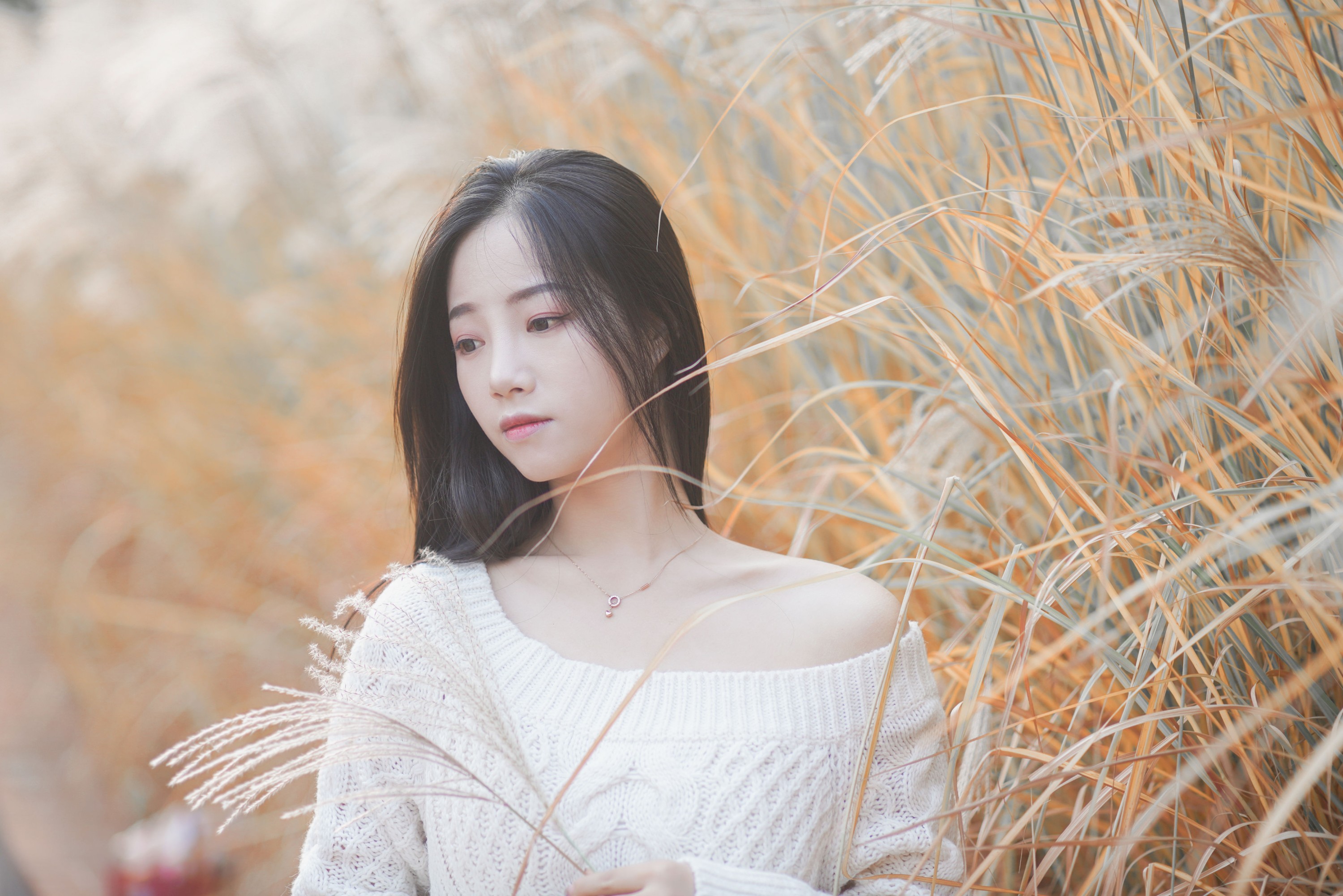 兮兮 – 《藏在芦苇荡中的温柔》[26P]