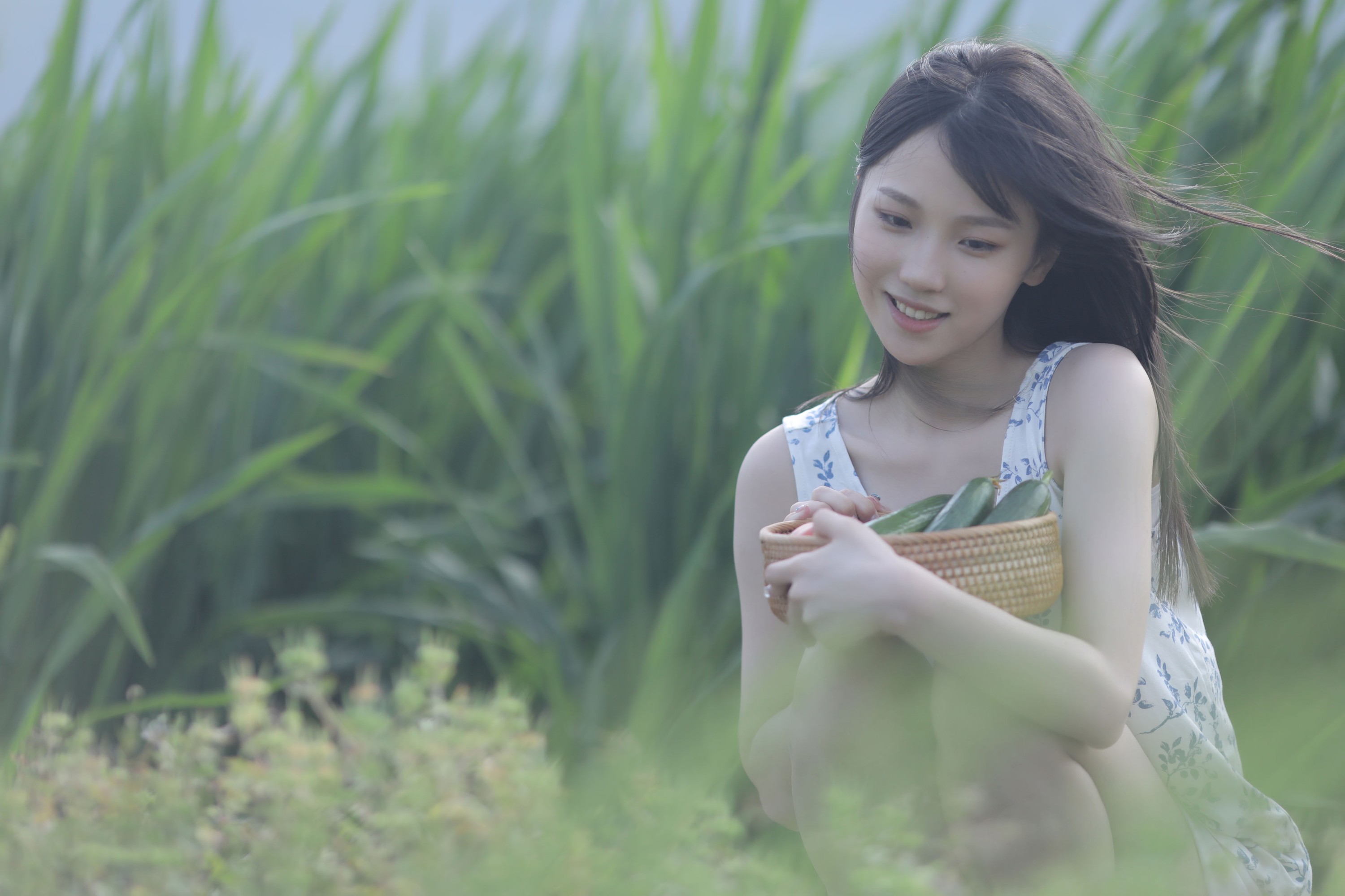 echo – 《稻香》[29P]