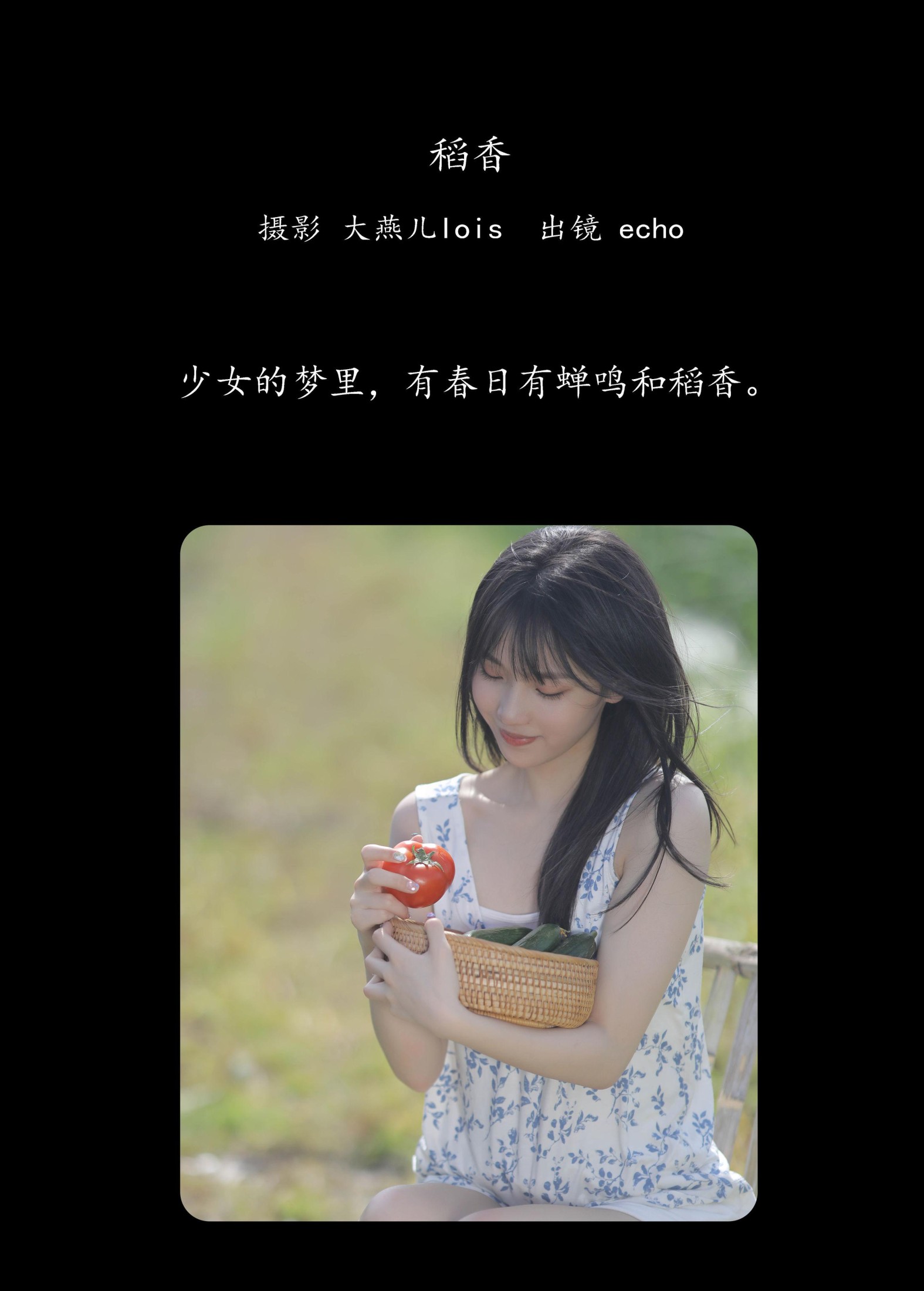 echo – 《稻香》[29P]
