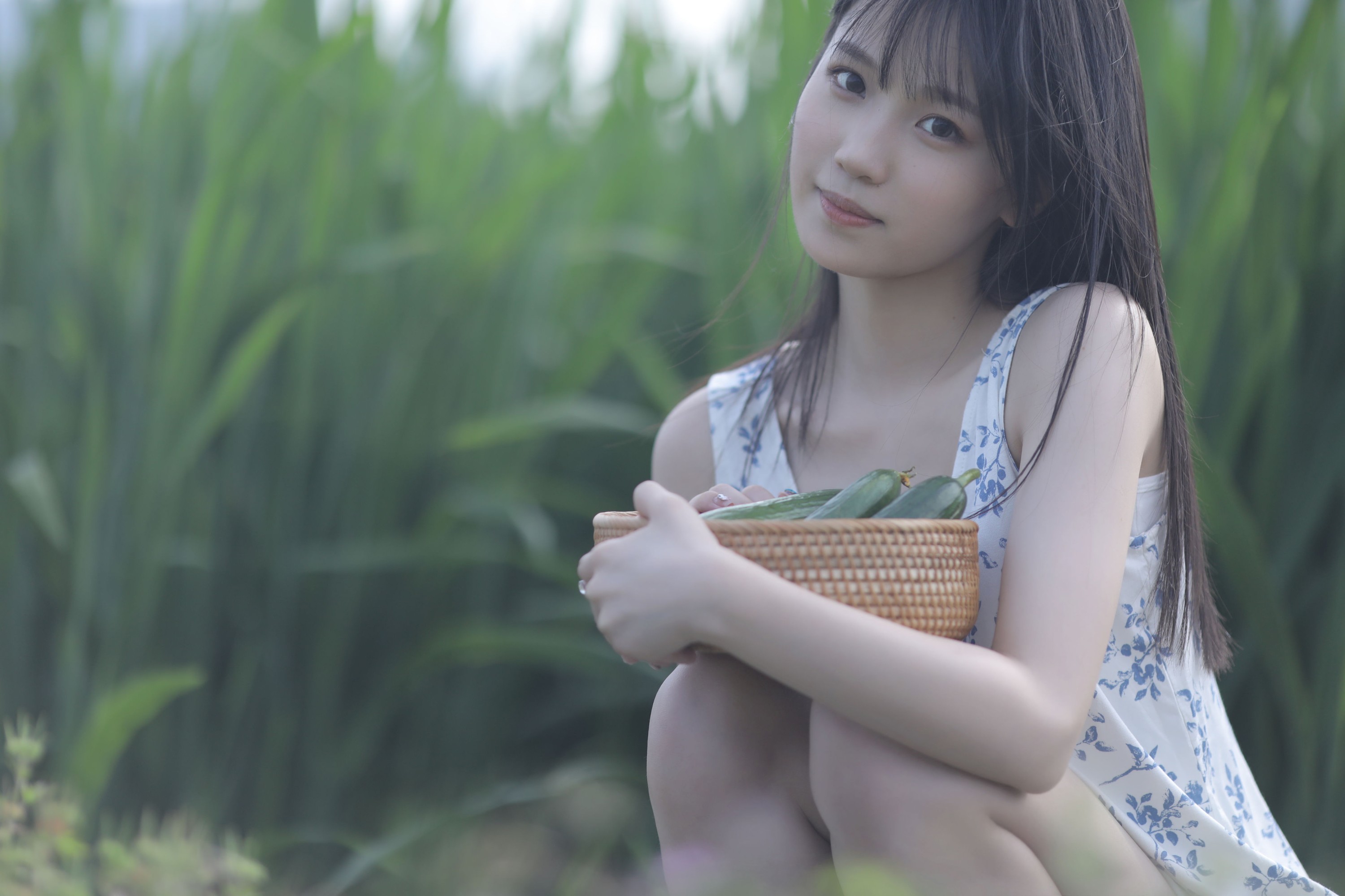 echo – 《稻香》[29P]