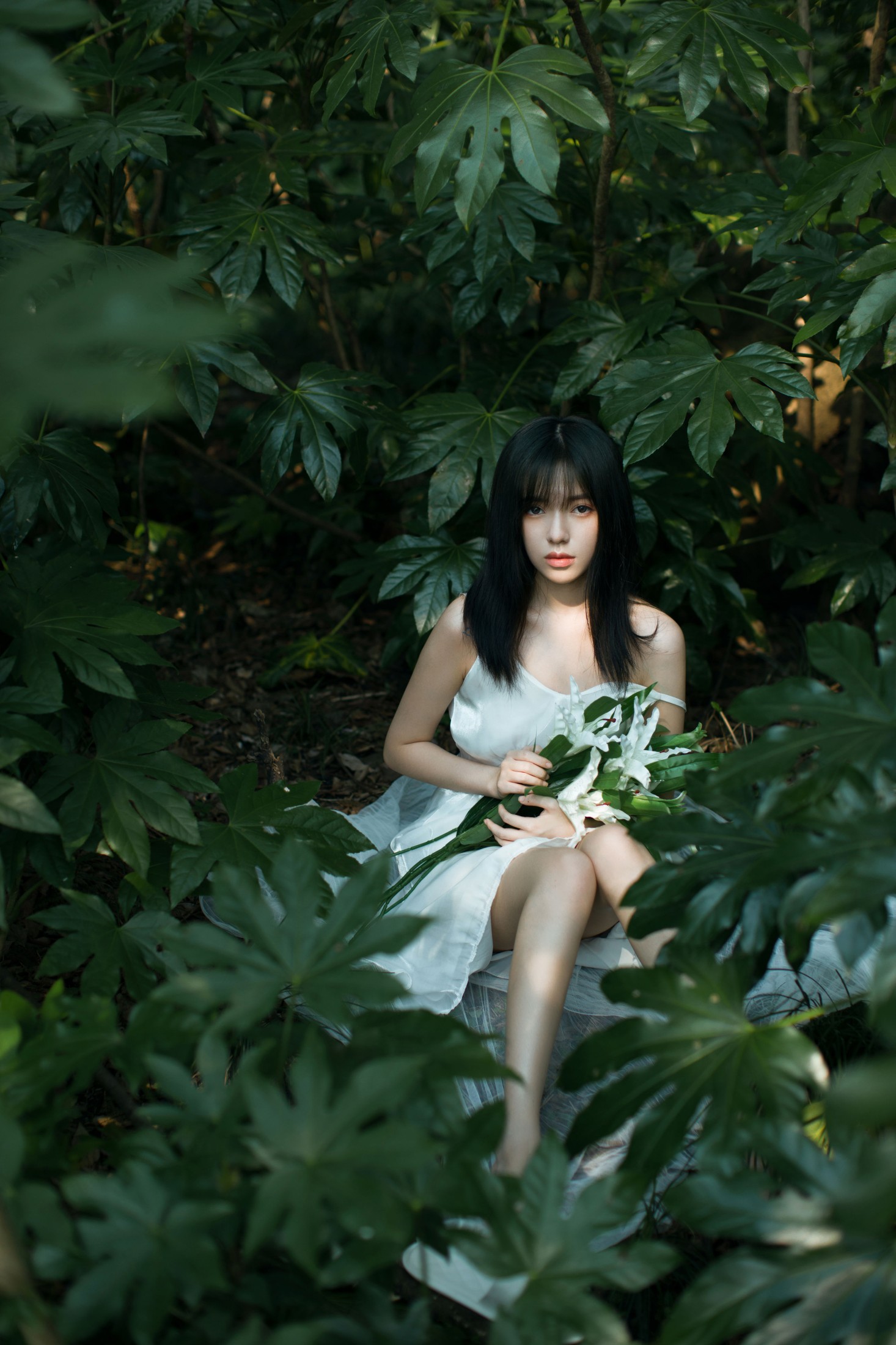 唧唧 – 《绿野仙踪》[23P]