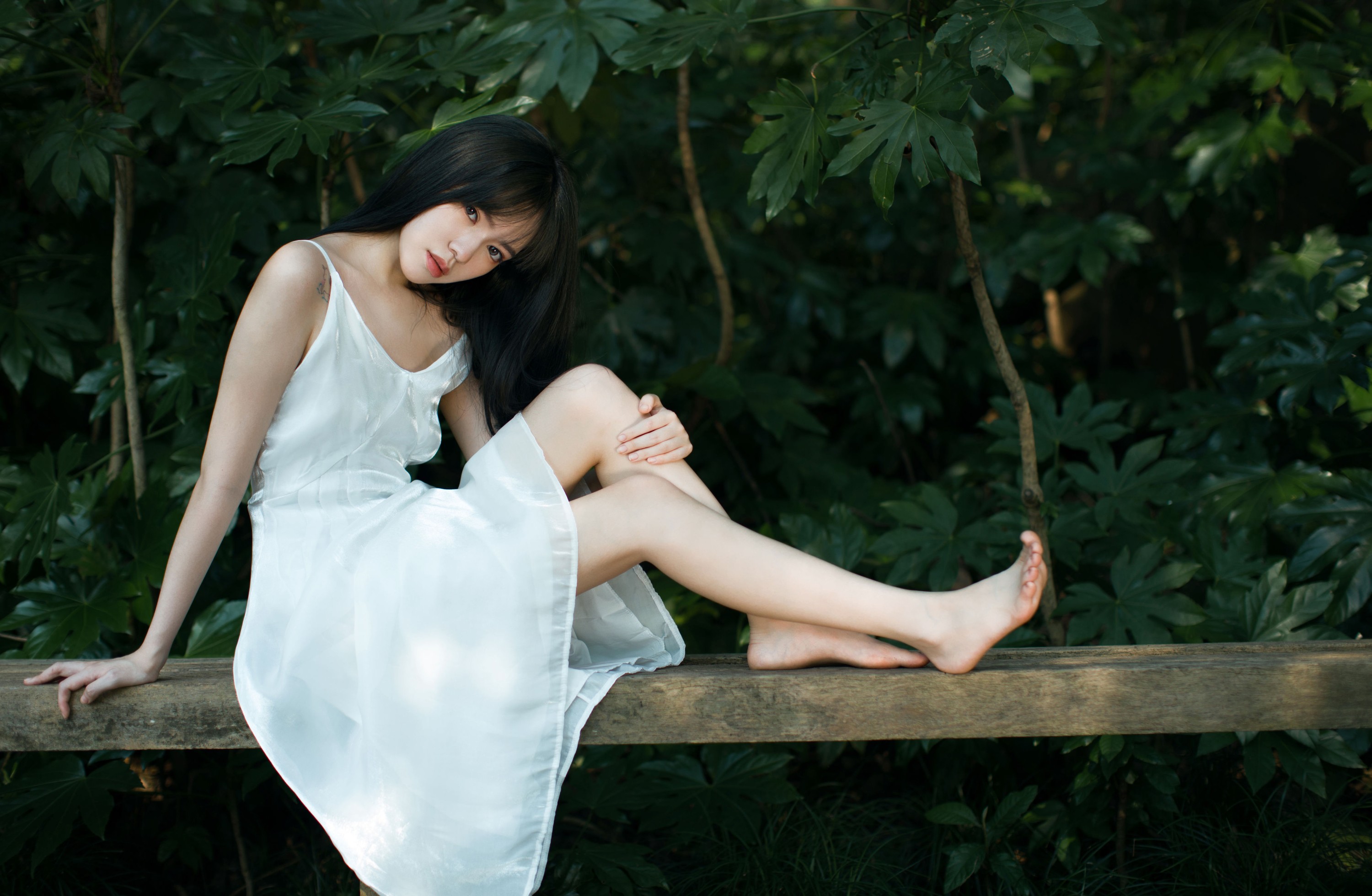 唧唧 – 《绿野仙踪》[23P]