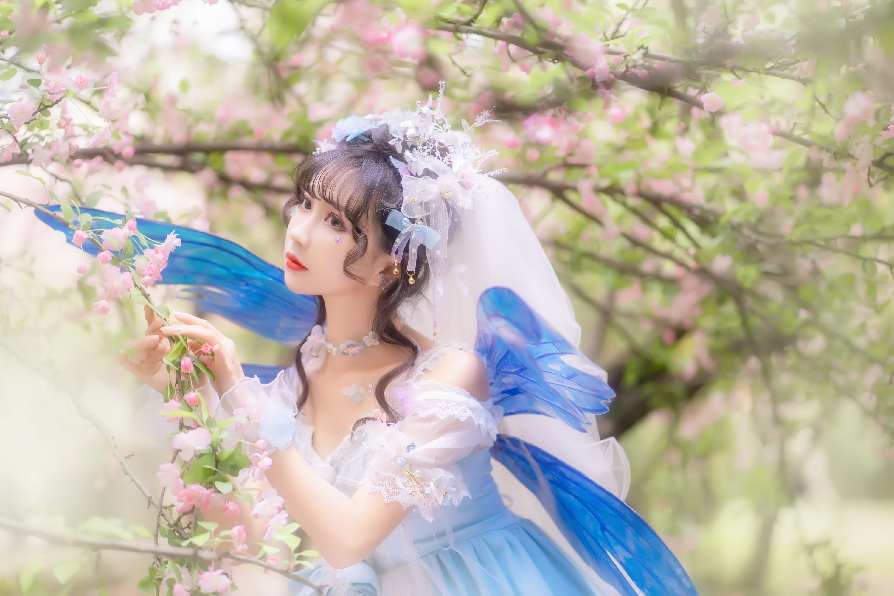 绮罗生的小苏苏 – 《森之小精灵》[28P]