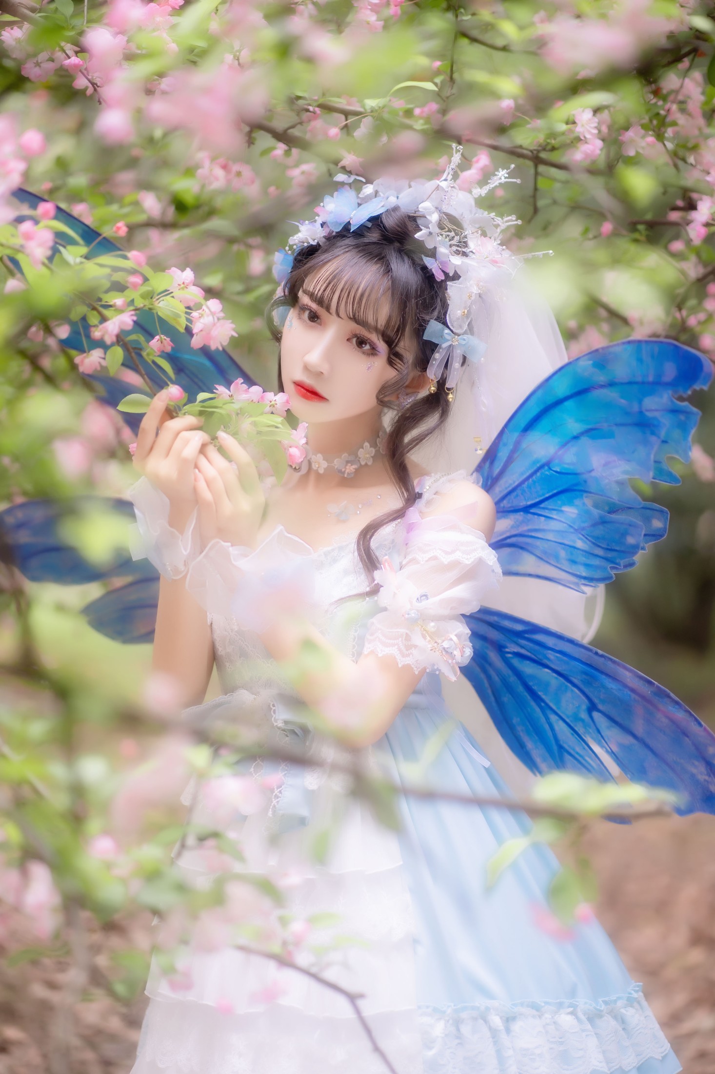 绮罗生的小苏苏 – 《森之小精灵》[28P]