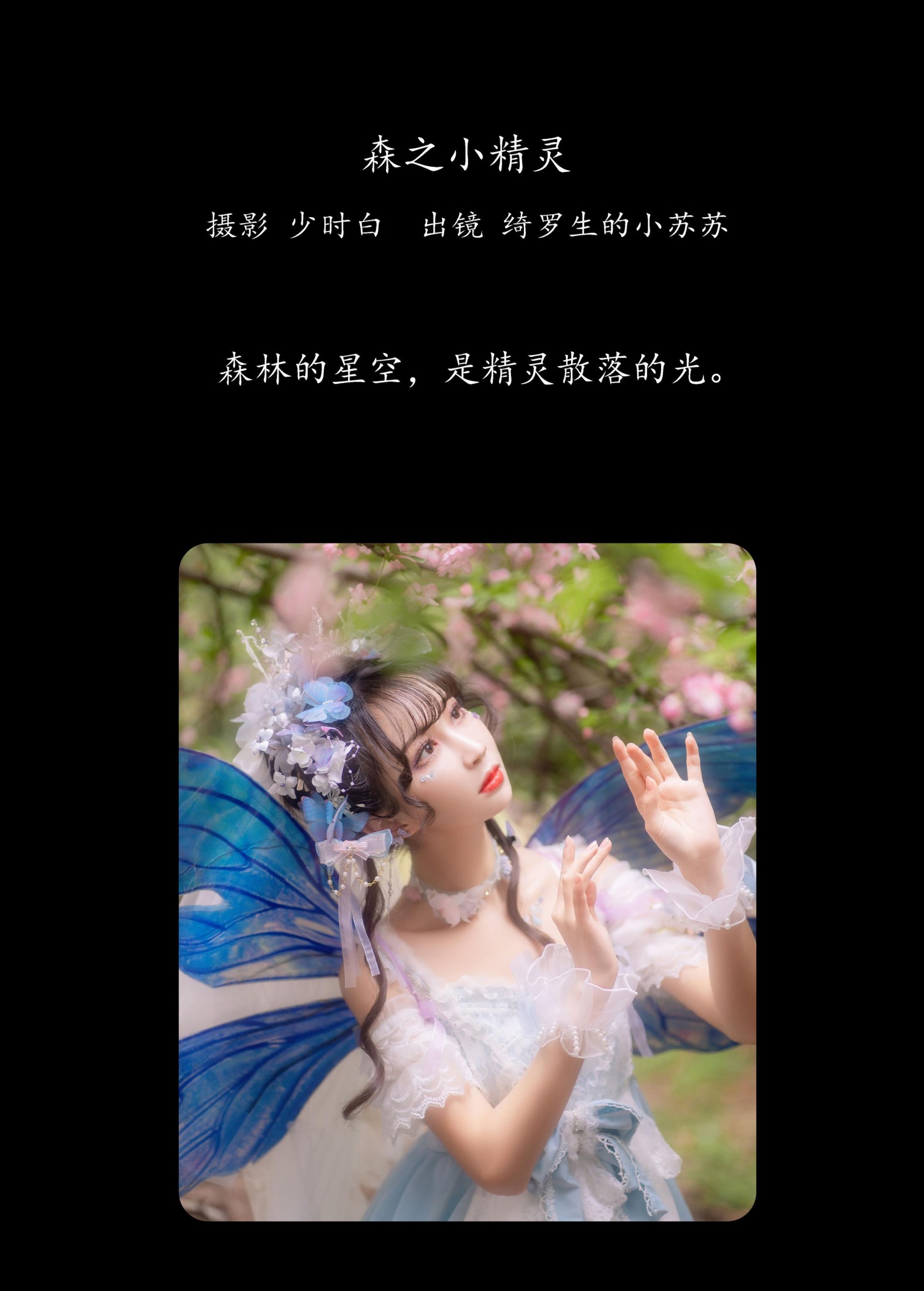 绮罗生的小苏苏 – 《森之小精灵》[28P]