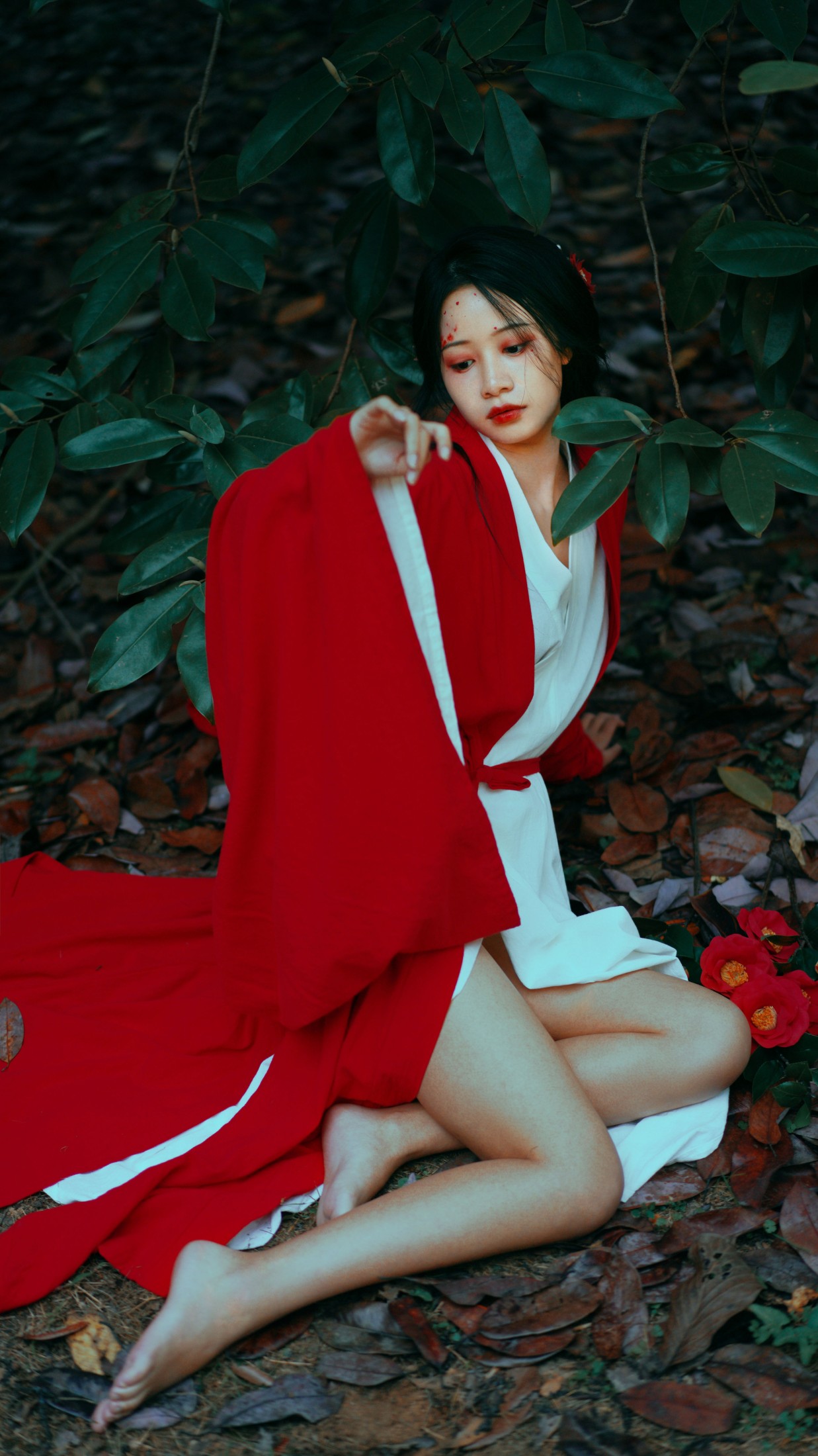 橙子舒 – 《山茶花》[22P]