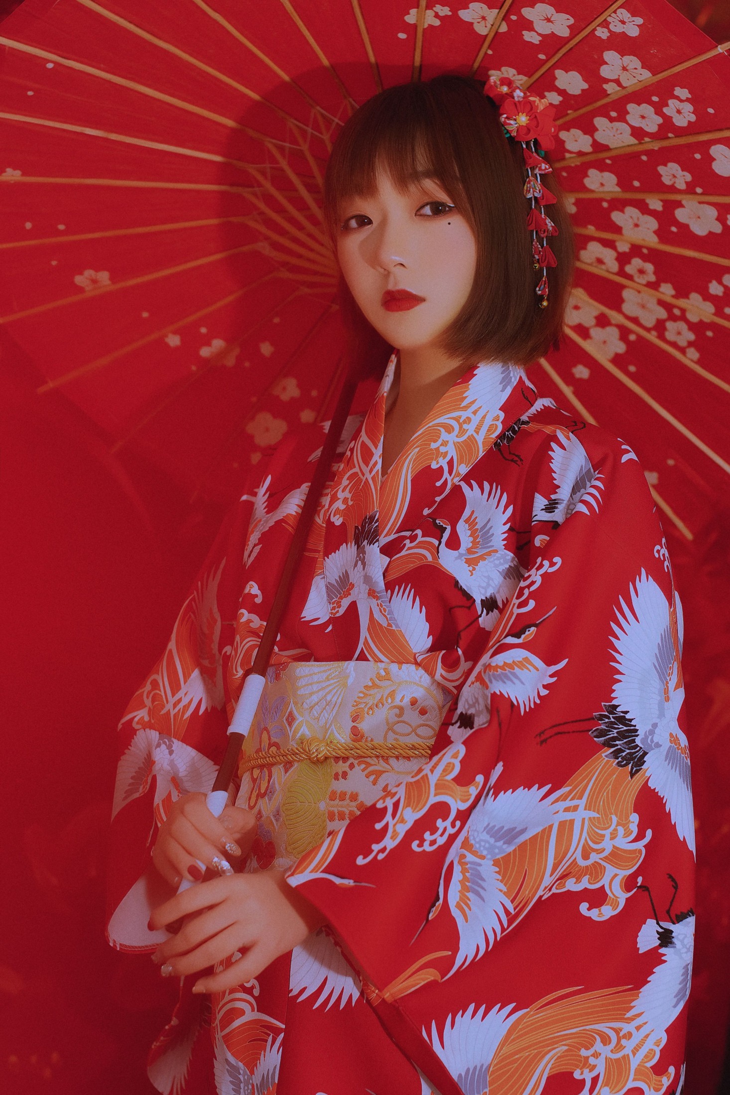 小懒 – 《鹤唳之花》[31P]